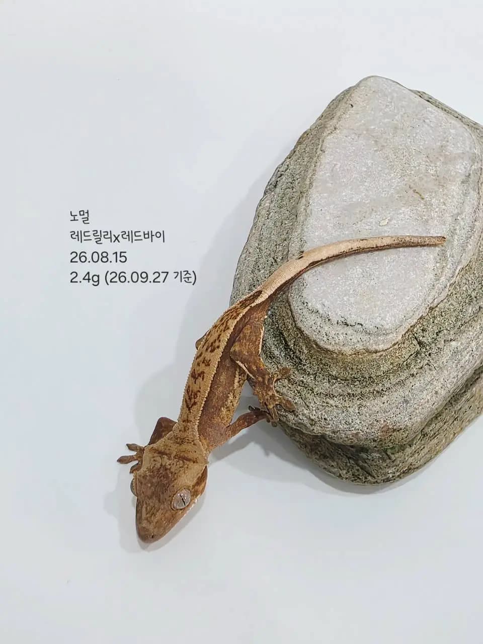 상품 이미지 3
