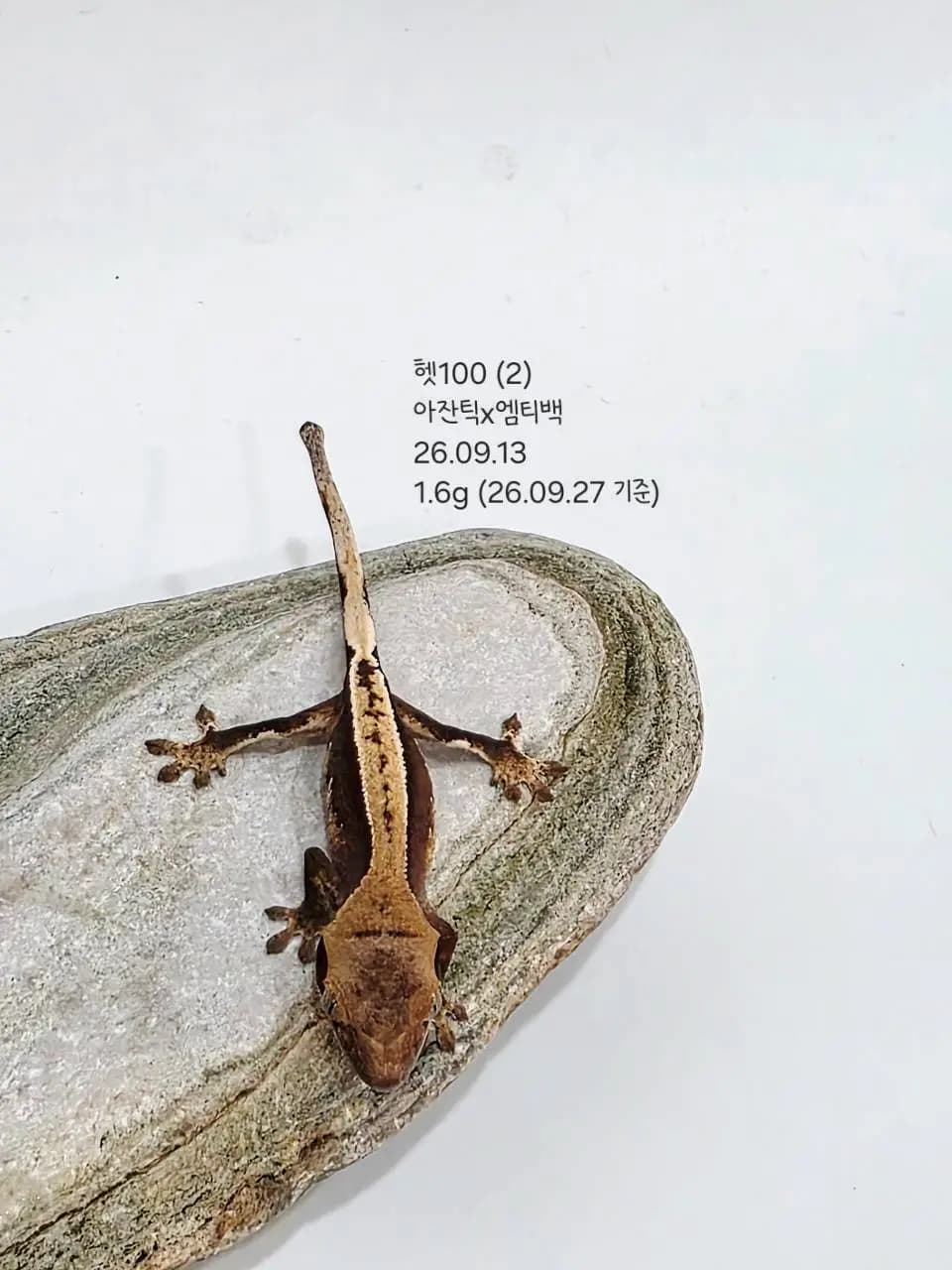 상품 이미지 3