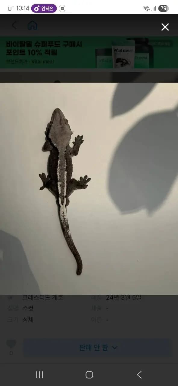 부 개체