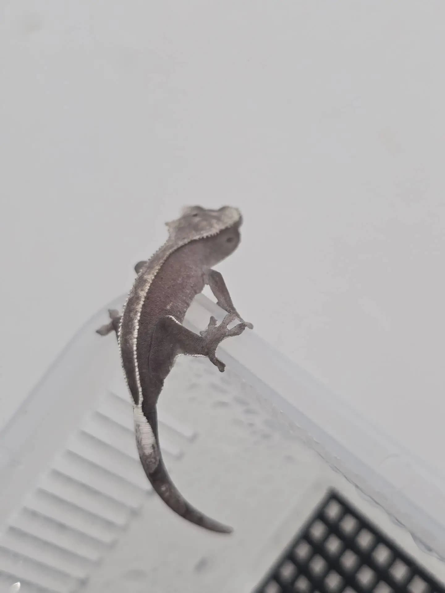상품 이미지 3