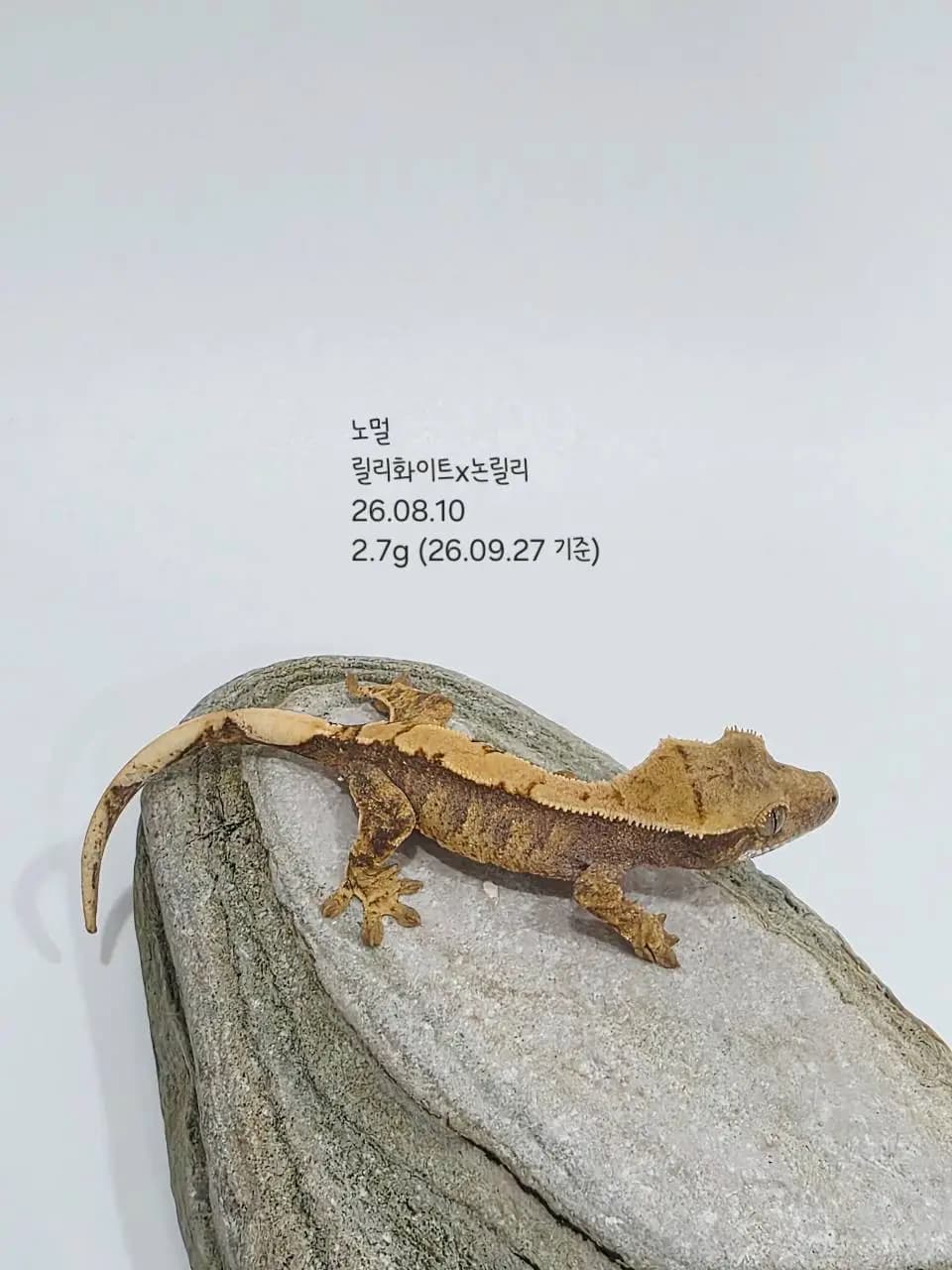 상품 이미지 1