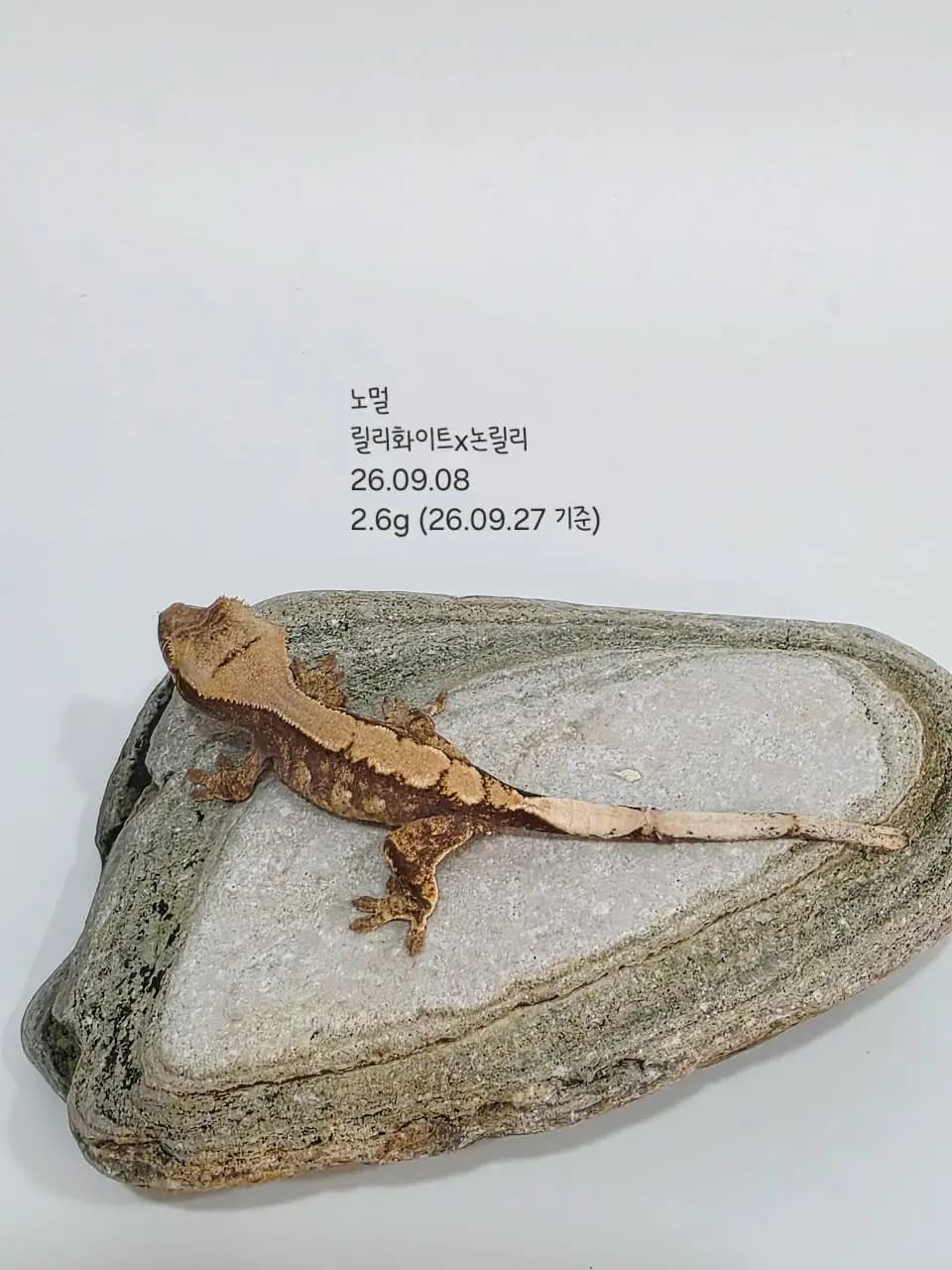 상품 이미지 1