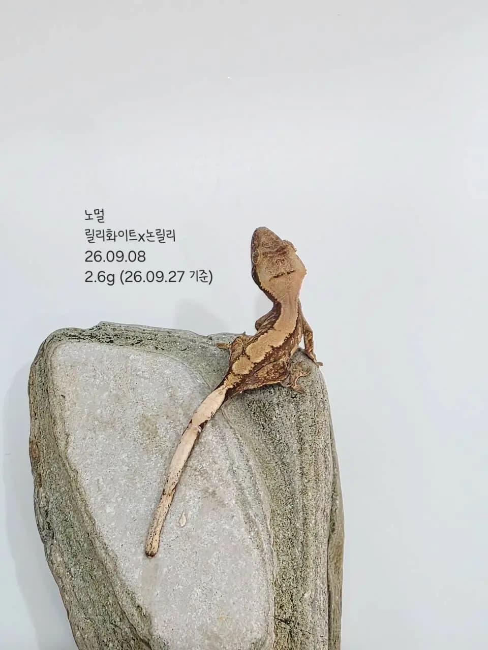 상품 이미지 3