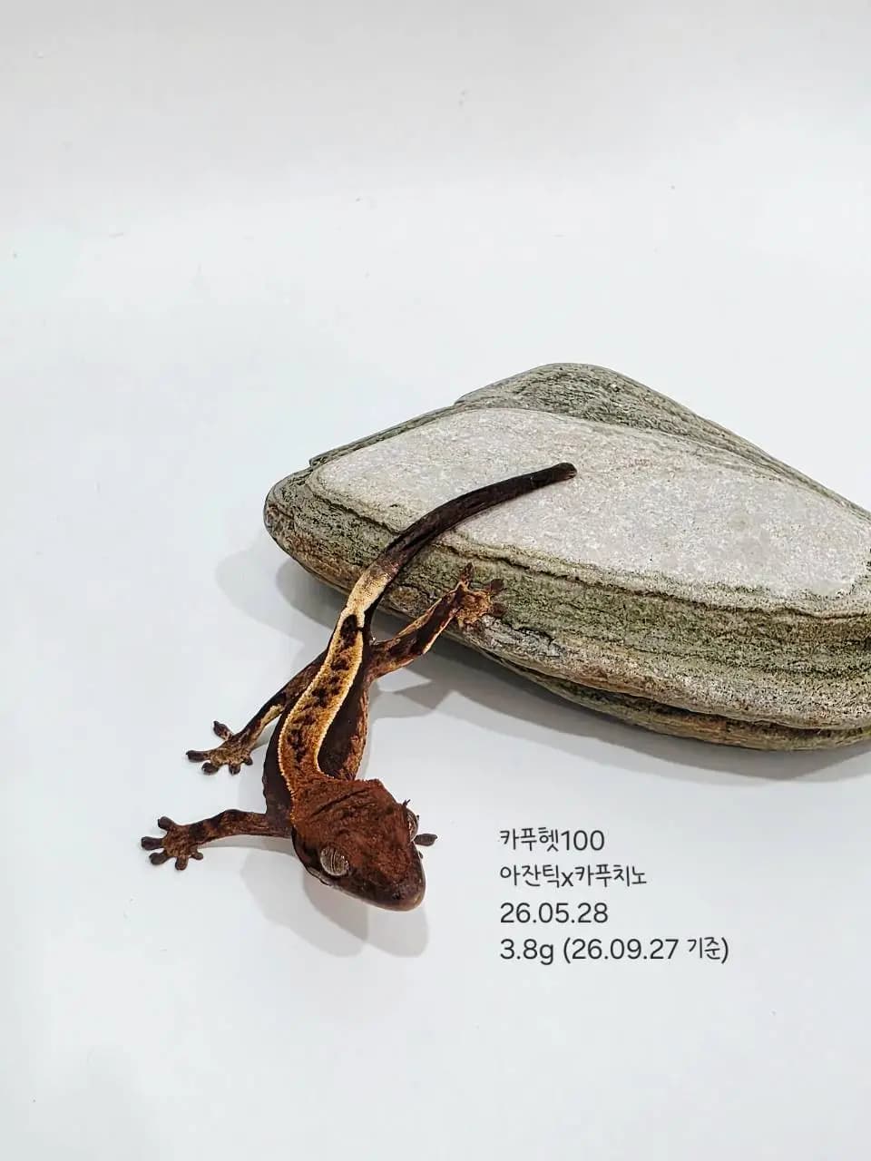 상품 이미지 1