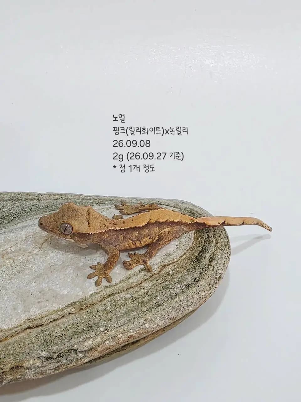 상품 이미지 3