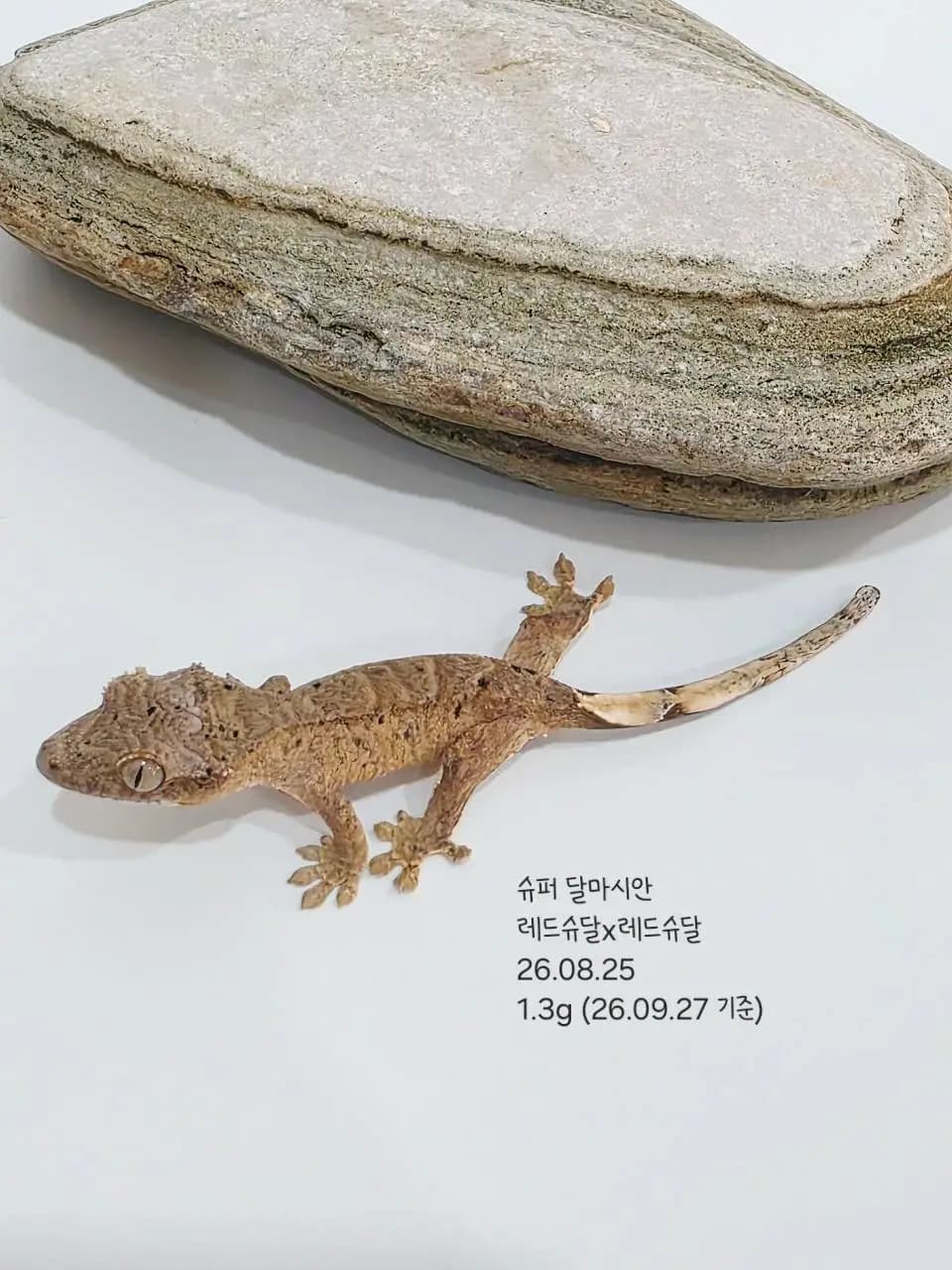 상품 이미지 3