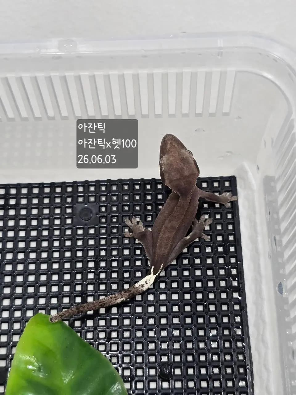 상품 이미지 1