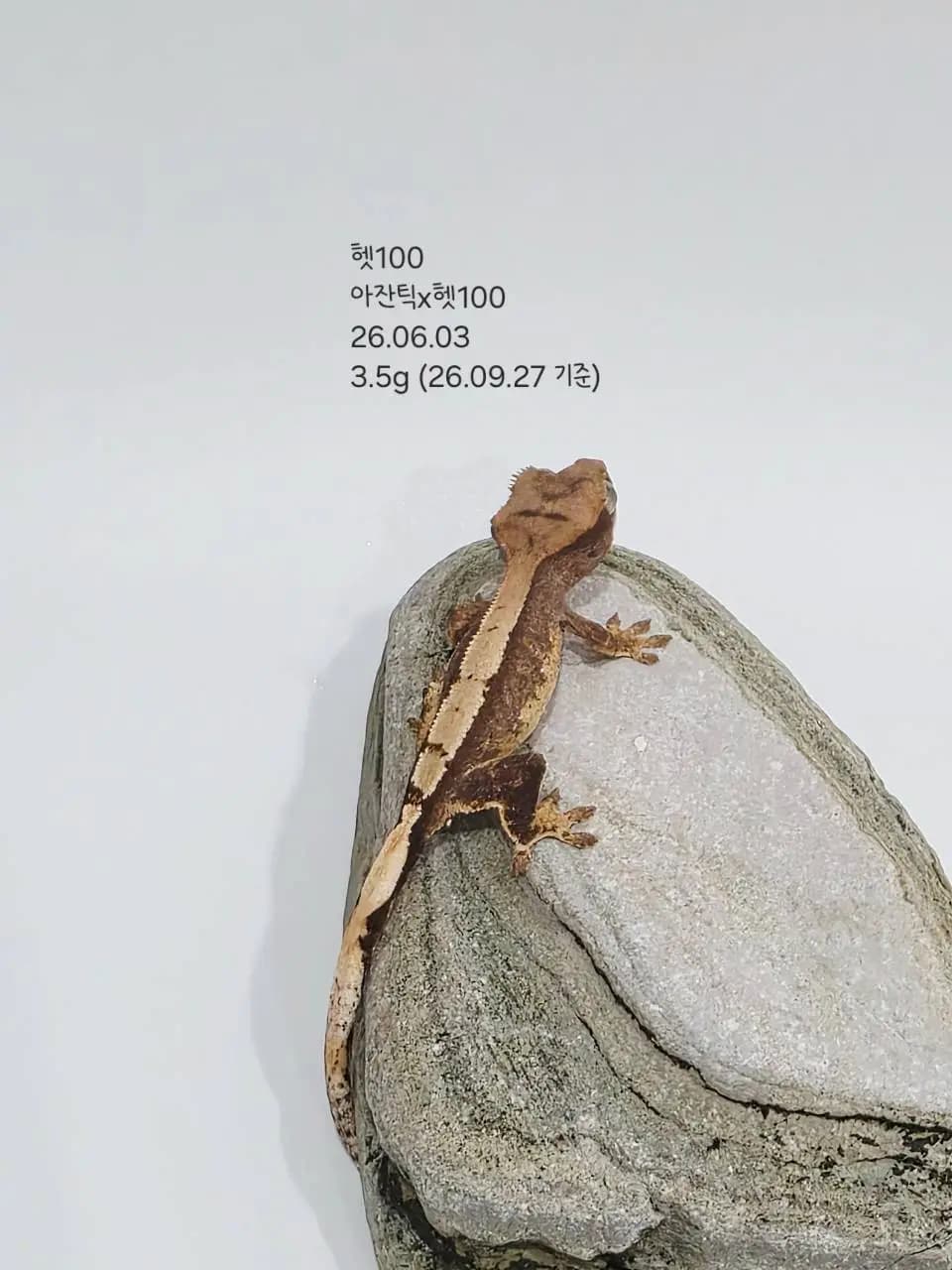 상품 이미지 1