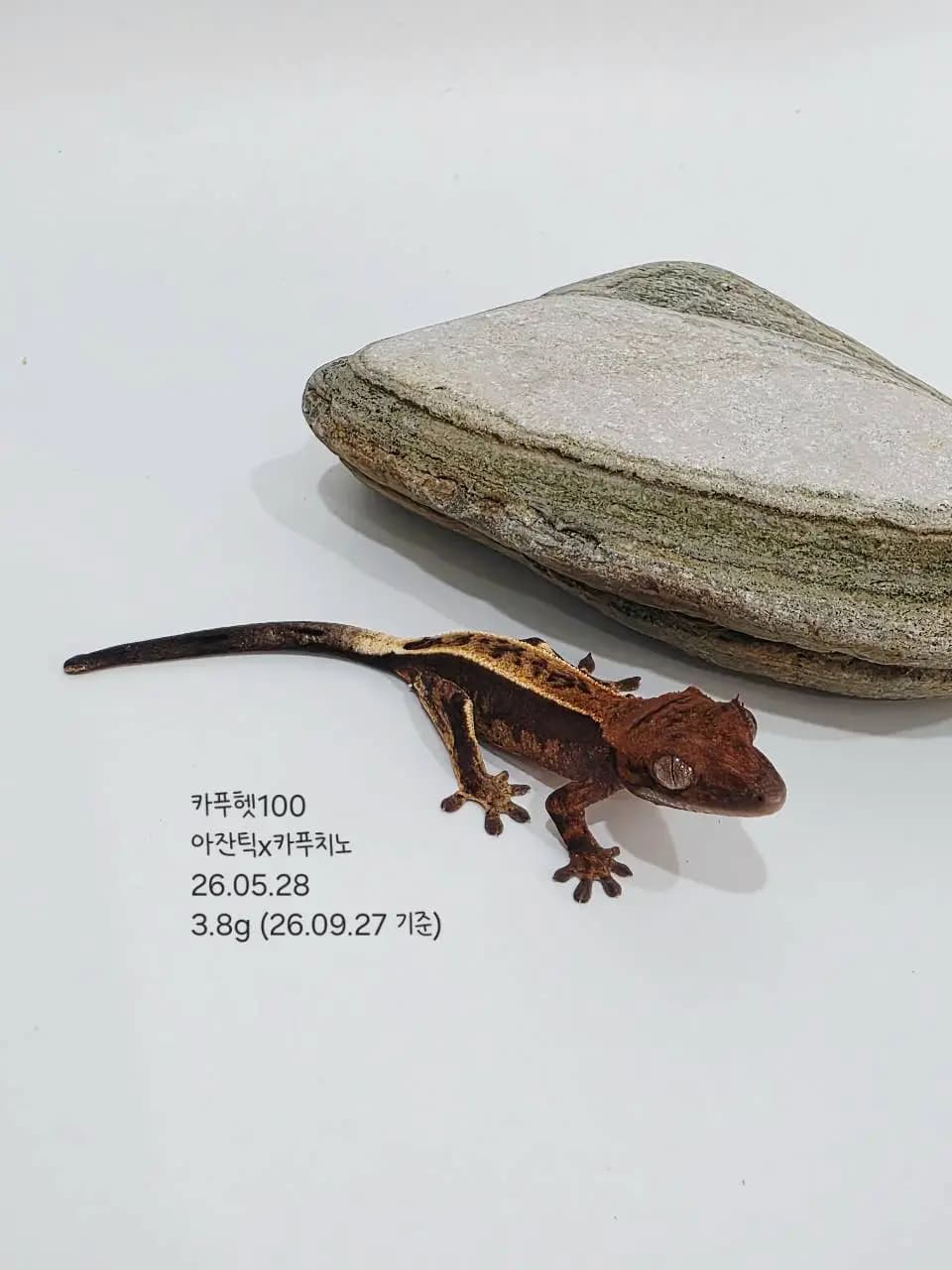 상품 이미지 3
