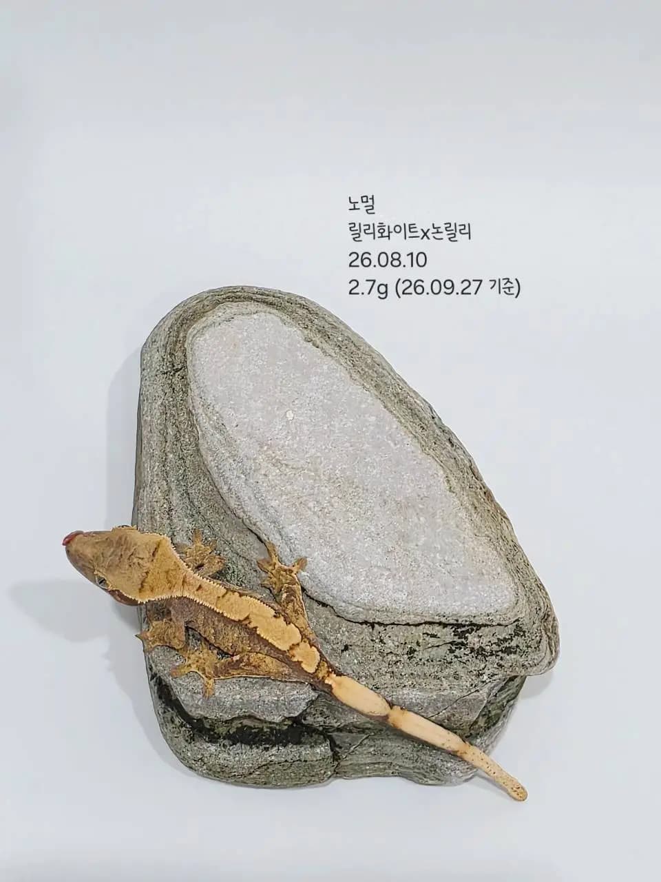 상품 이미지 3