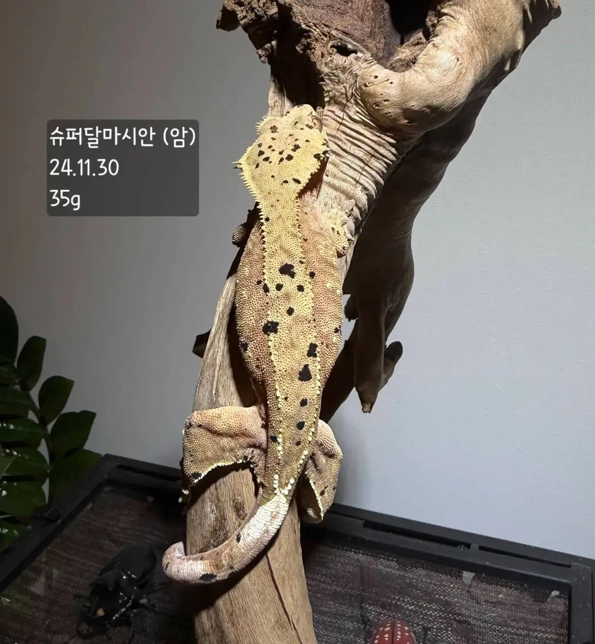 상품 이미지 1