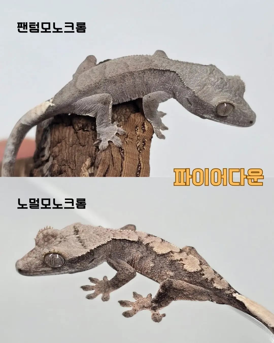 상품 이미지 1