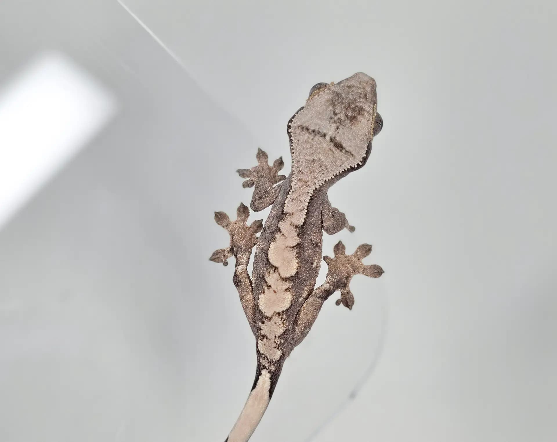 상품 이미지 3