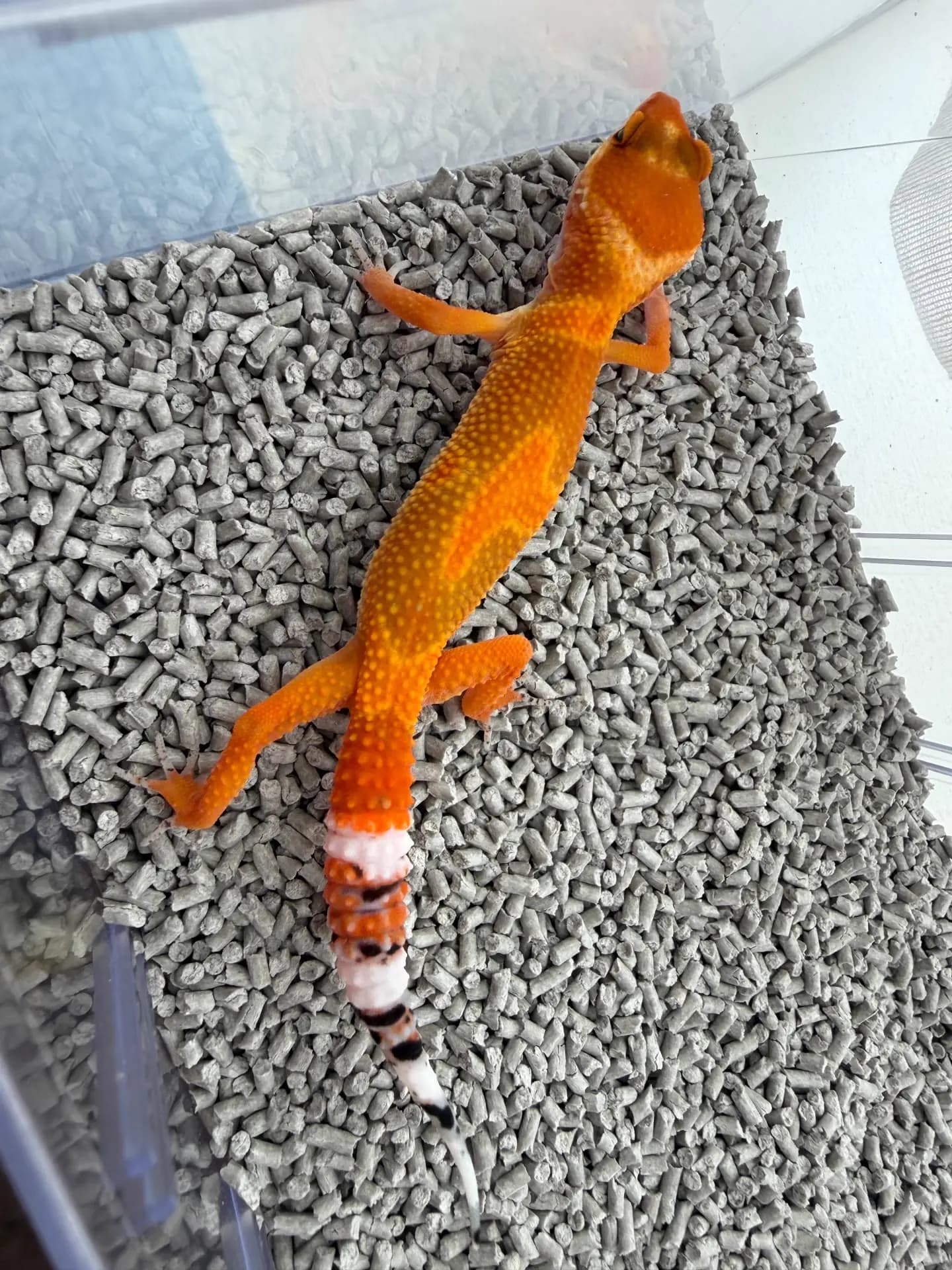 상품 이미지 2