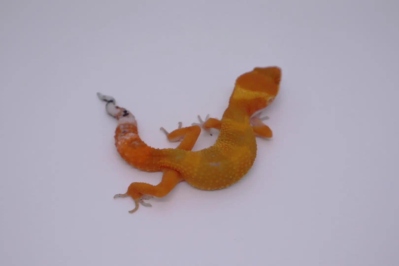 상품 이미지 1