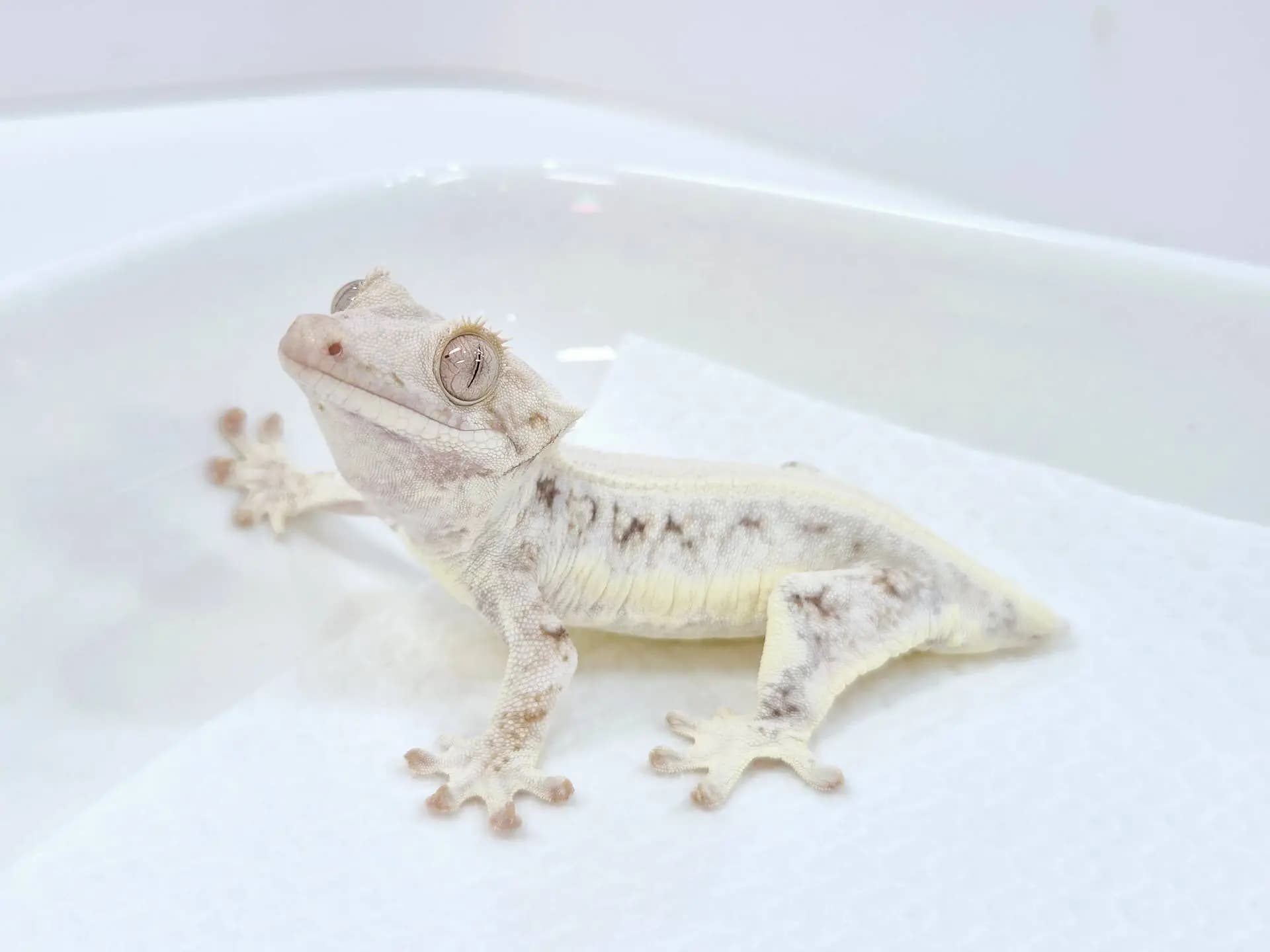 상품 이미지 5