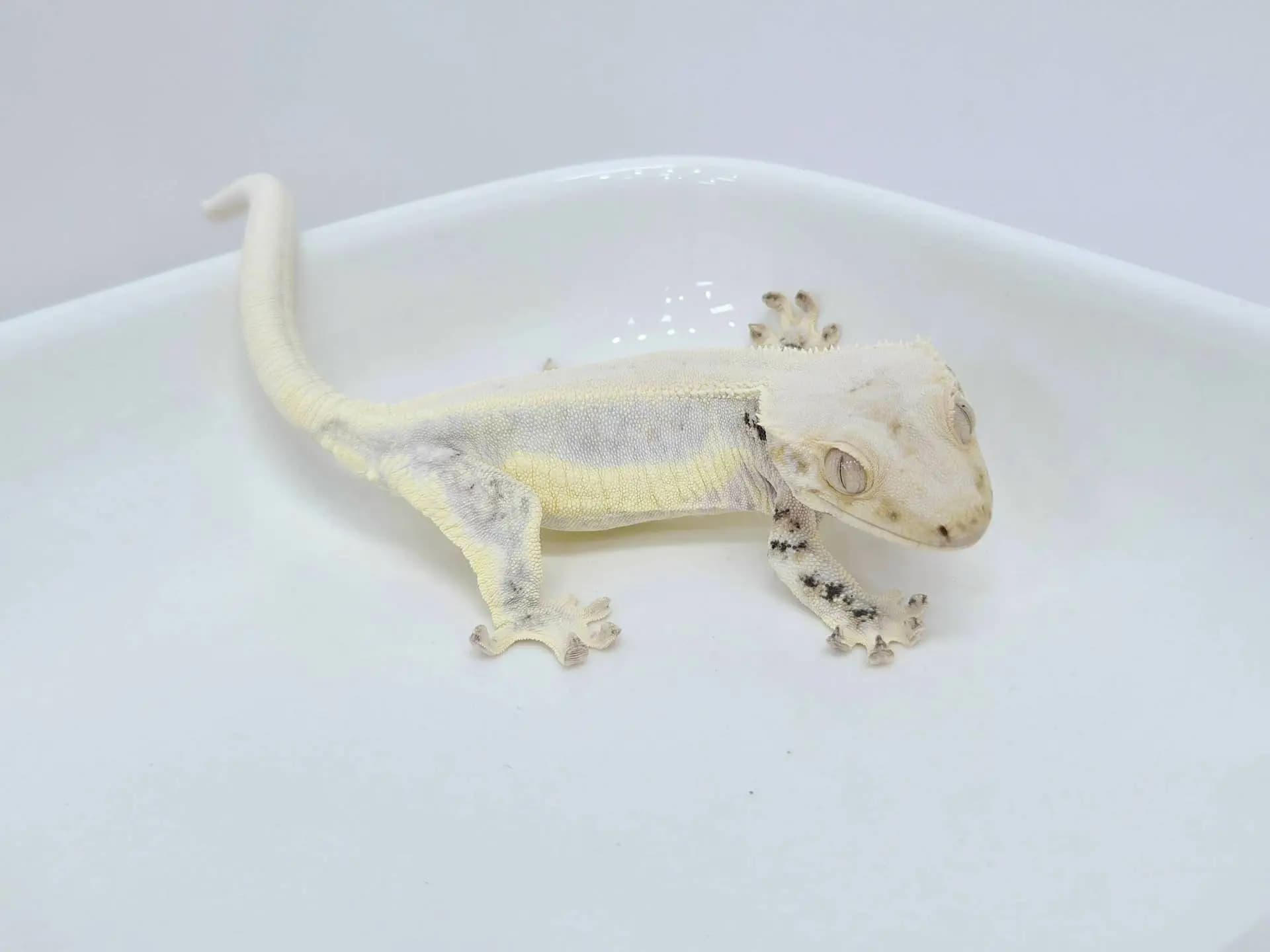 상품 이미지 3