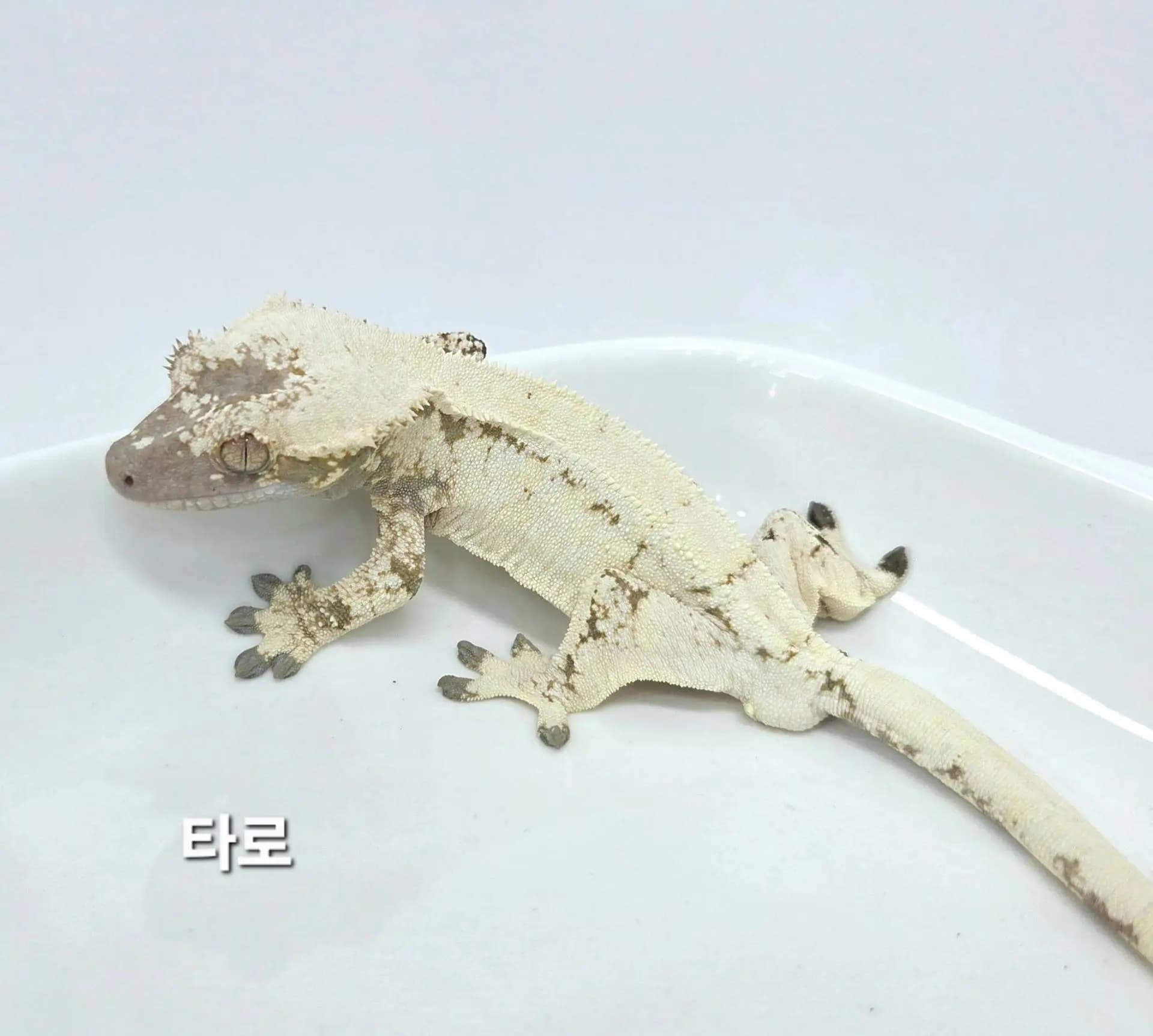 상품 이미지 1