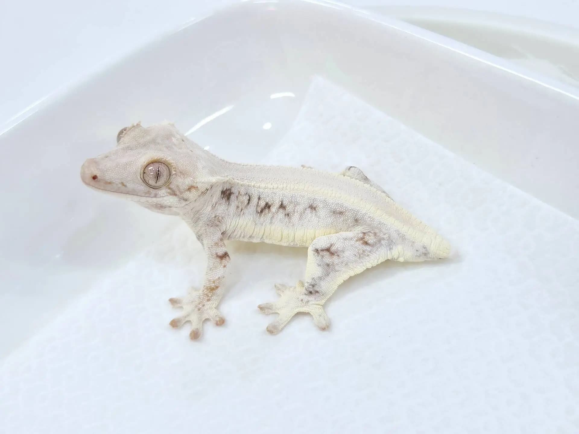 상품 이미지 3