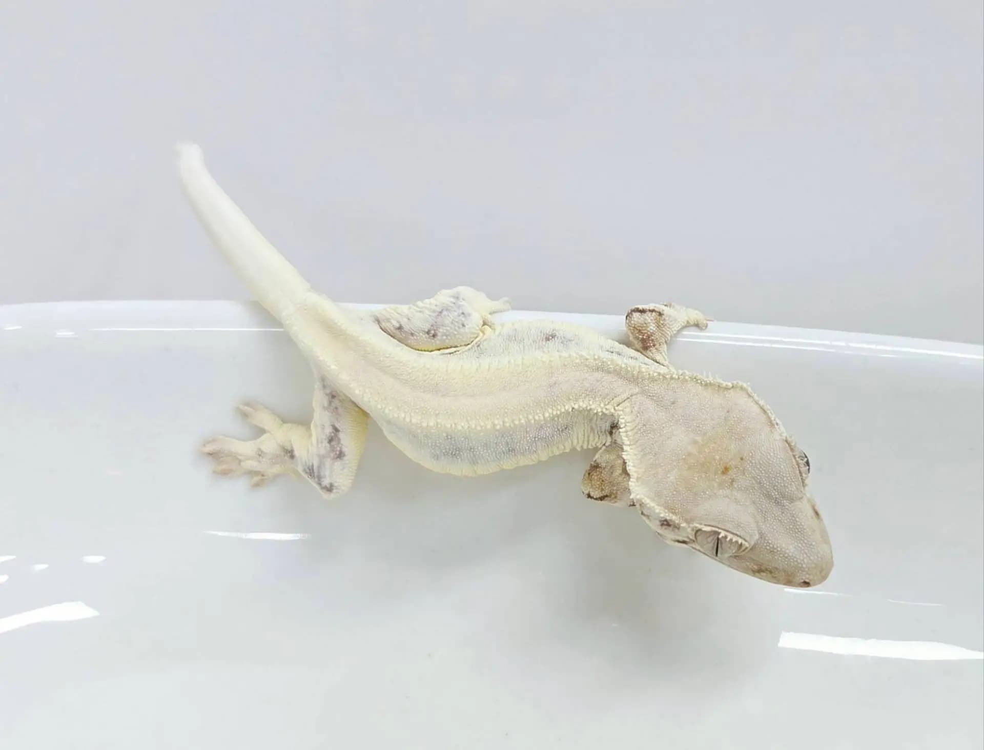 상품 이미지 3