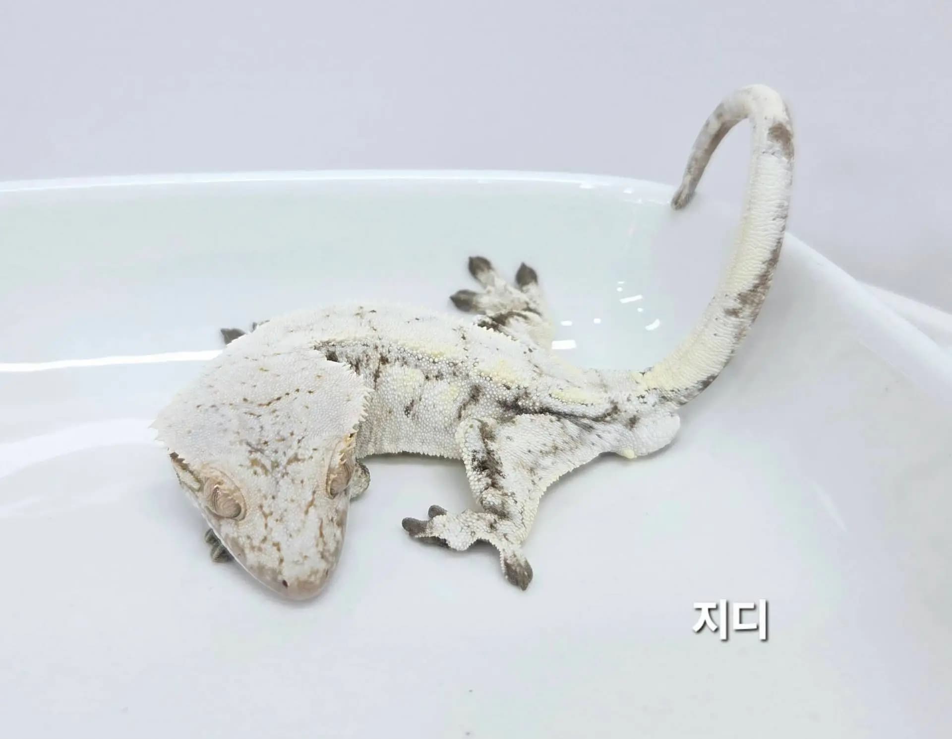 상품 이미지 1