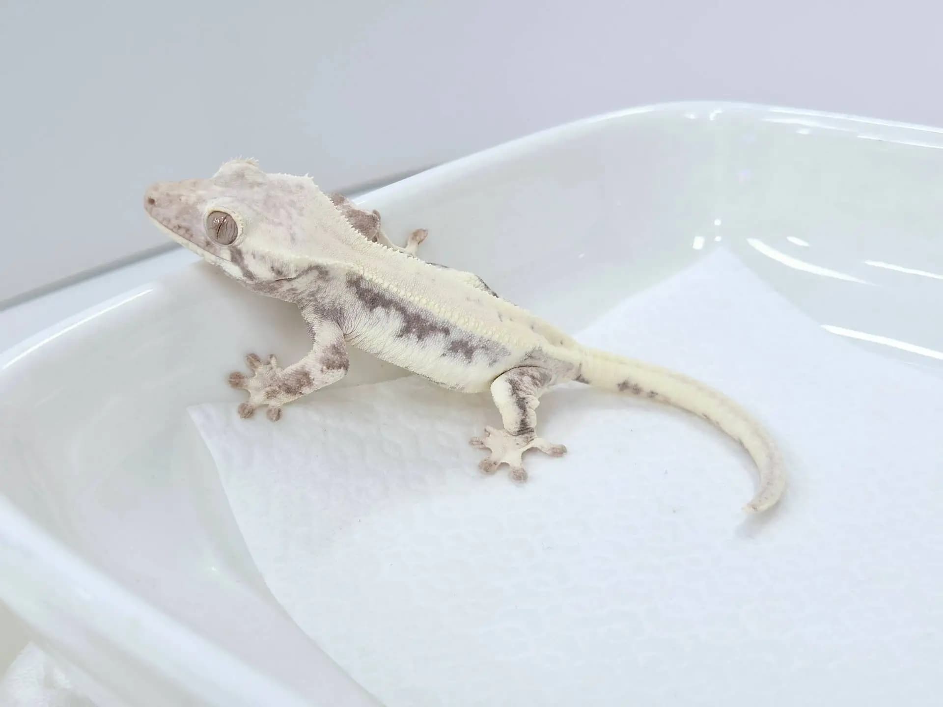 상품 이미지 3