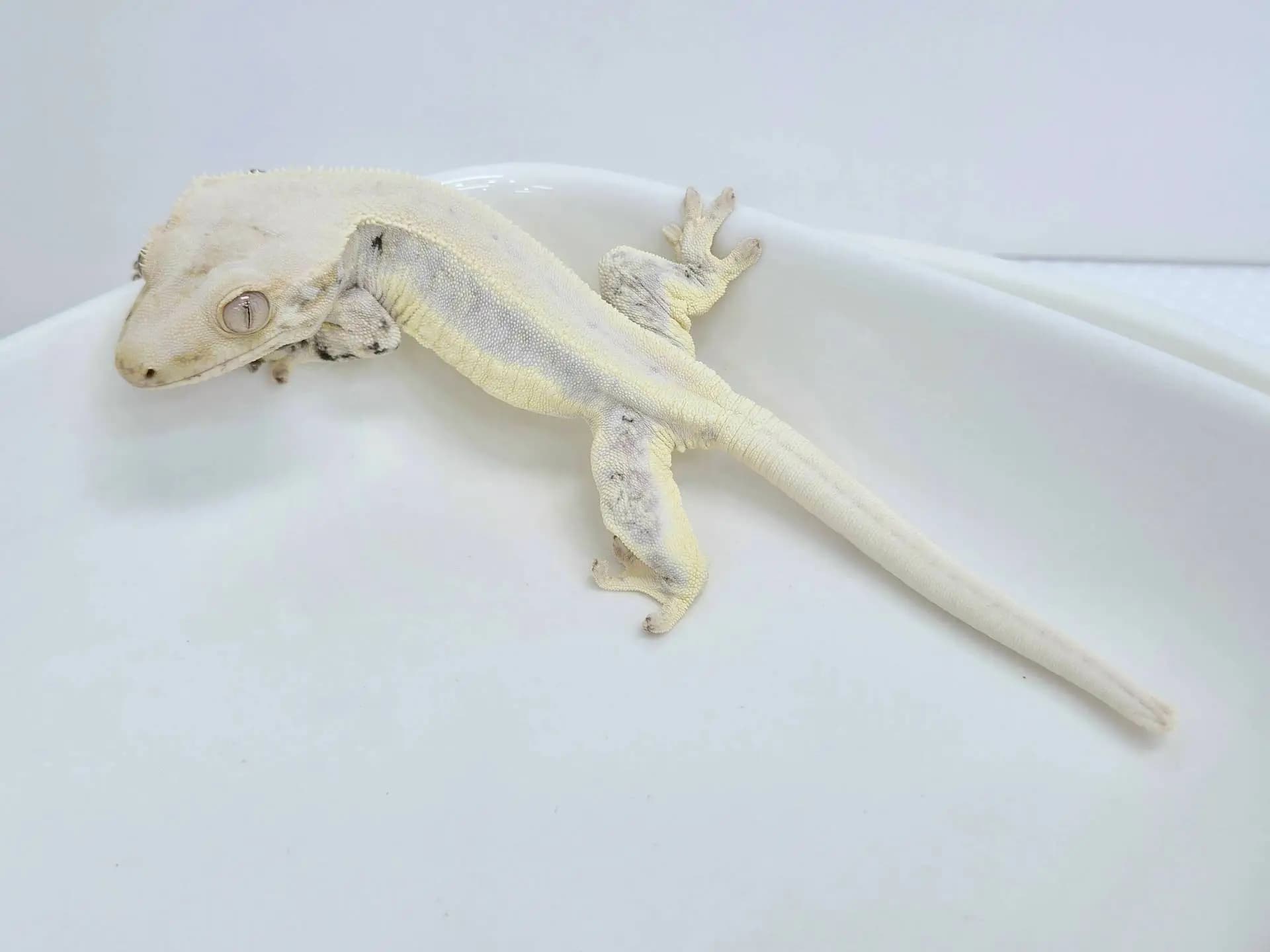상품 이미지 4