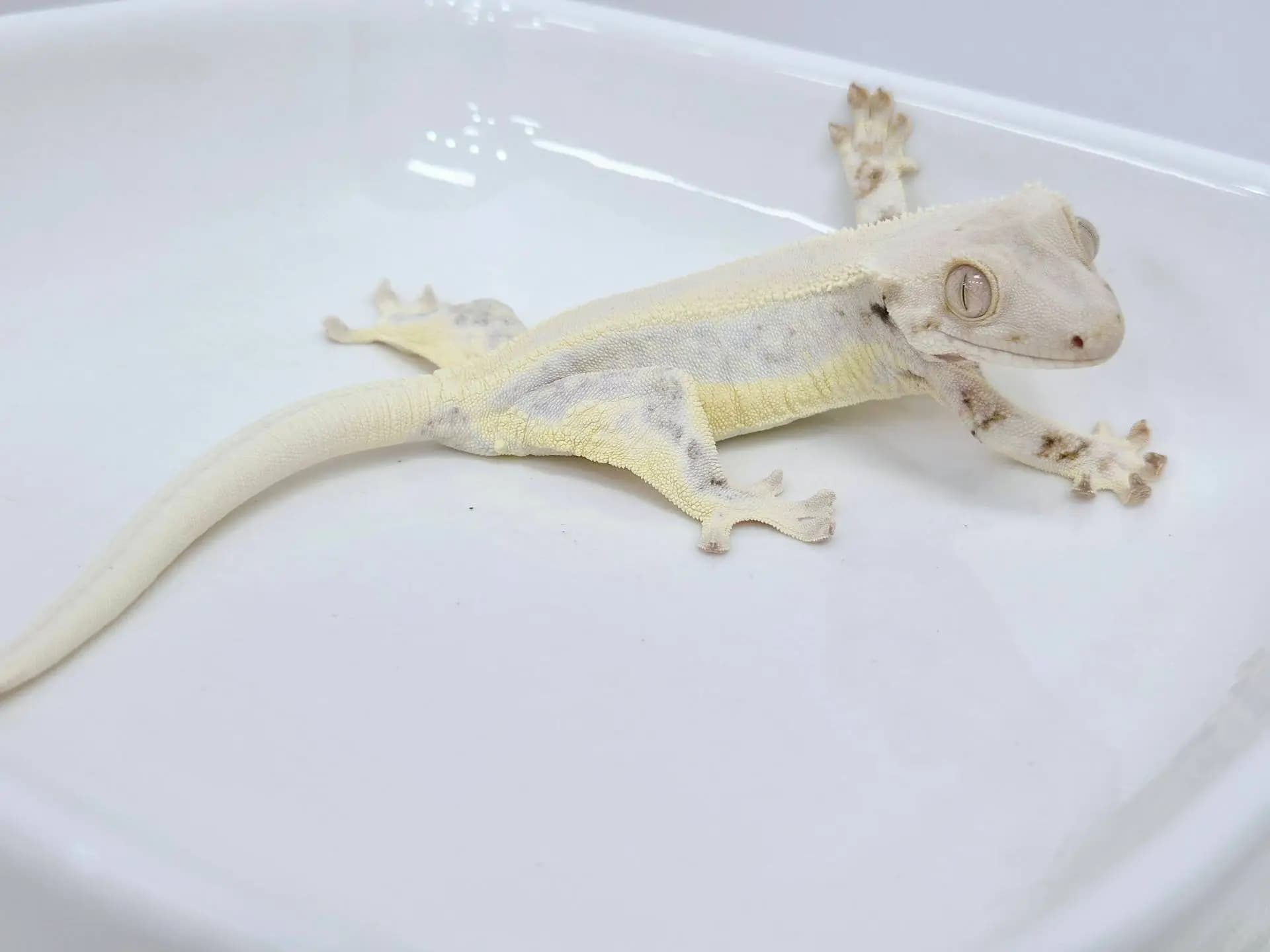 상품 이미지 5