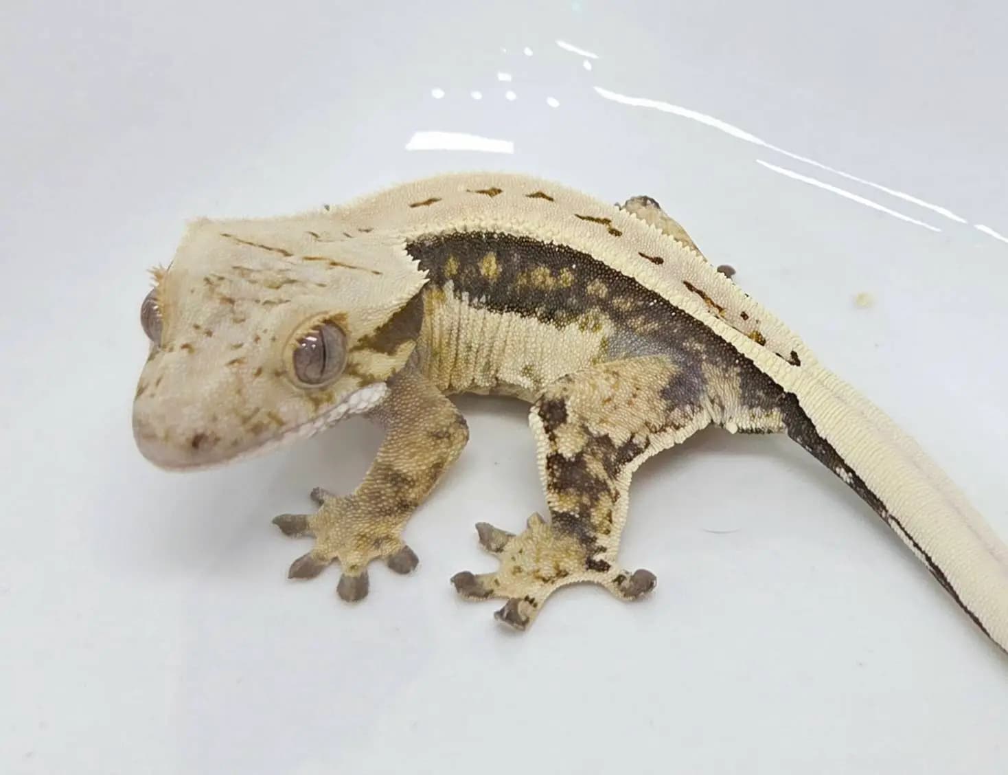 상품 이미지 3