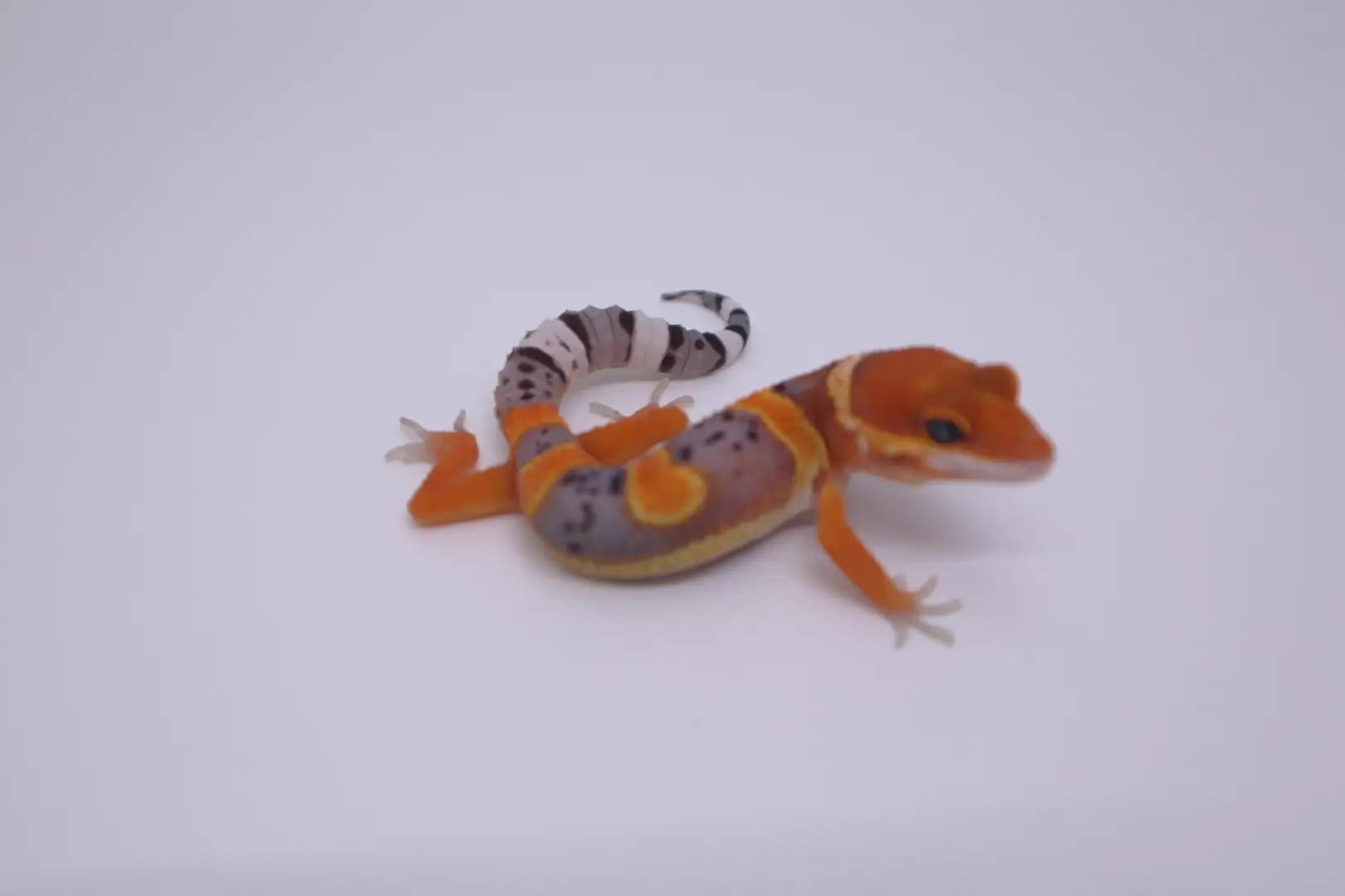 상품 이미지 1