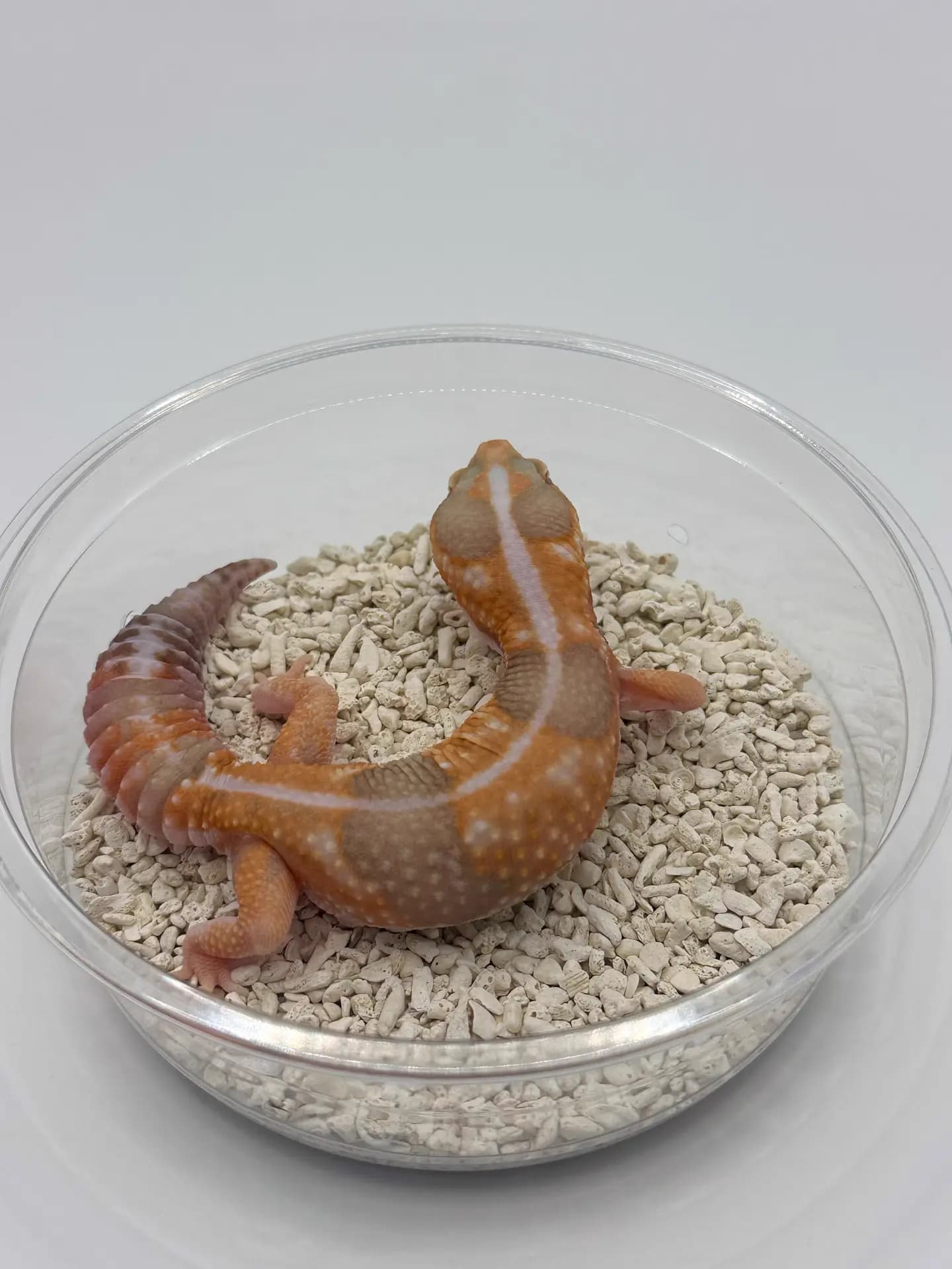 상품 이미지 2
