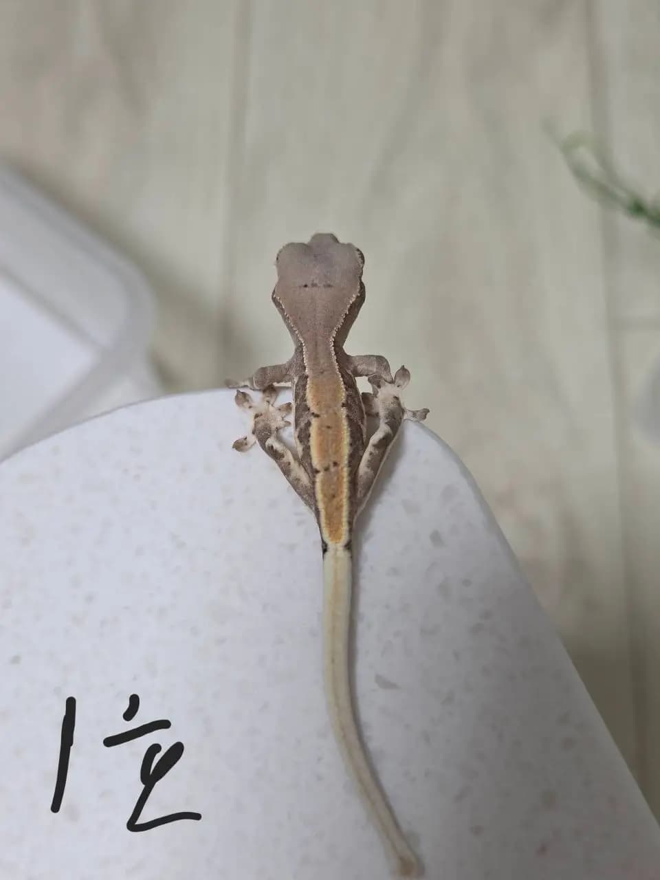 상품 이미지 3