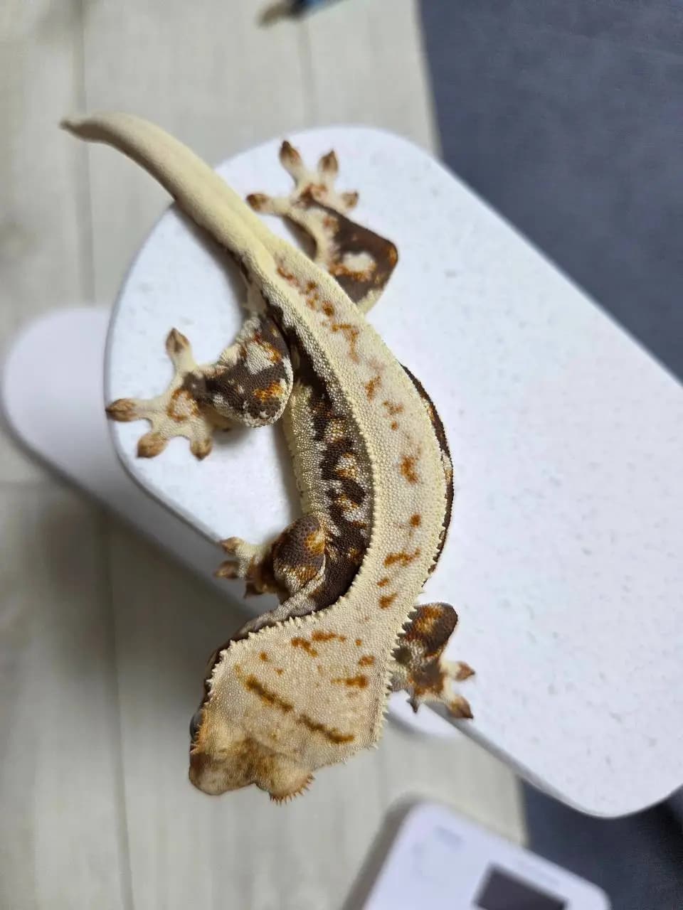 상품 이미지 3