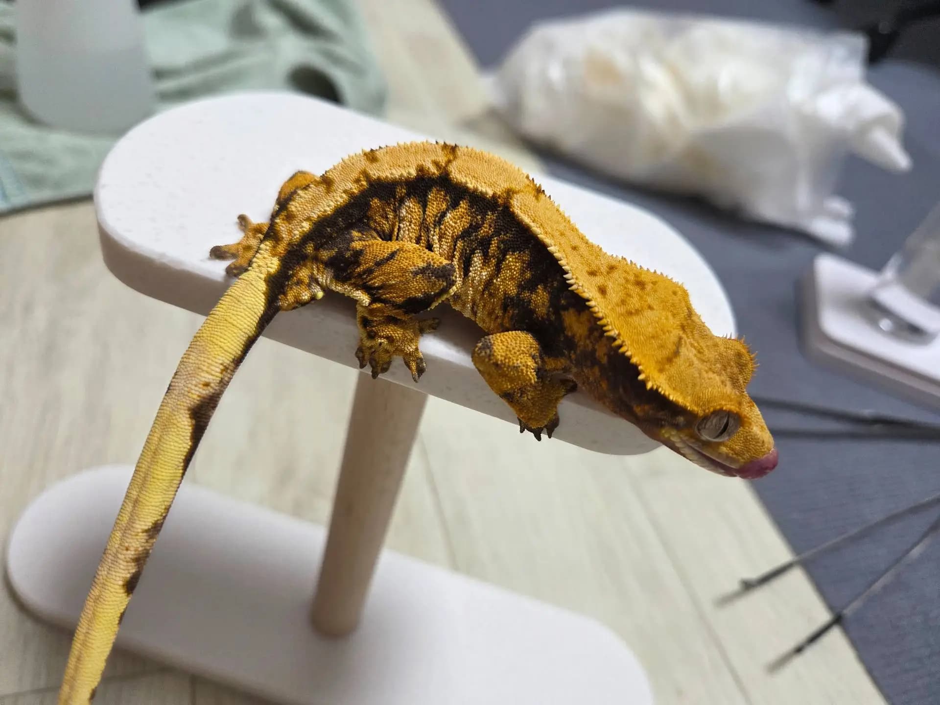 상품 이미지 3