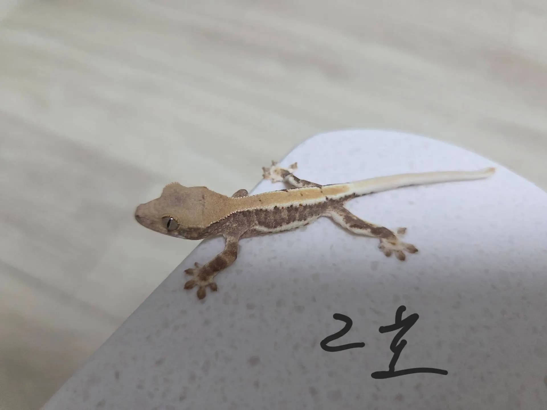 상품 이미지 4