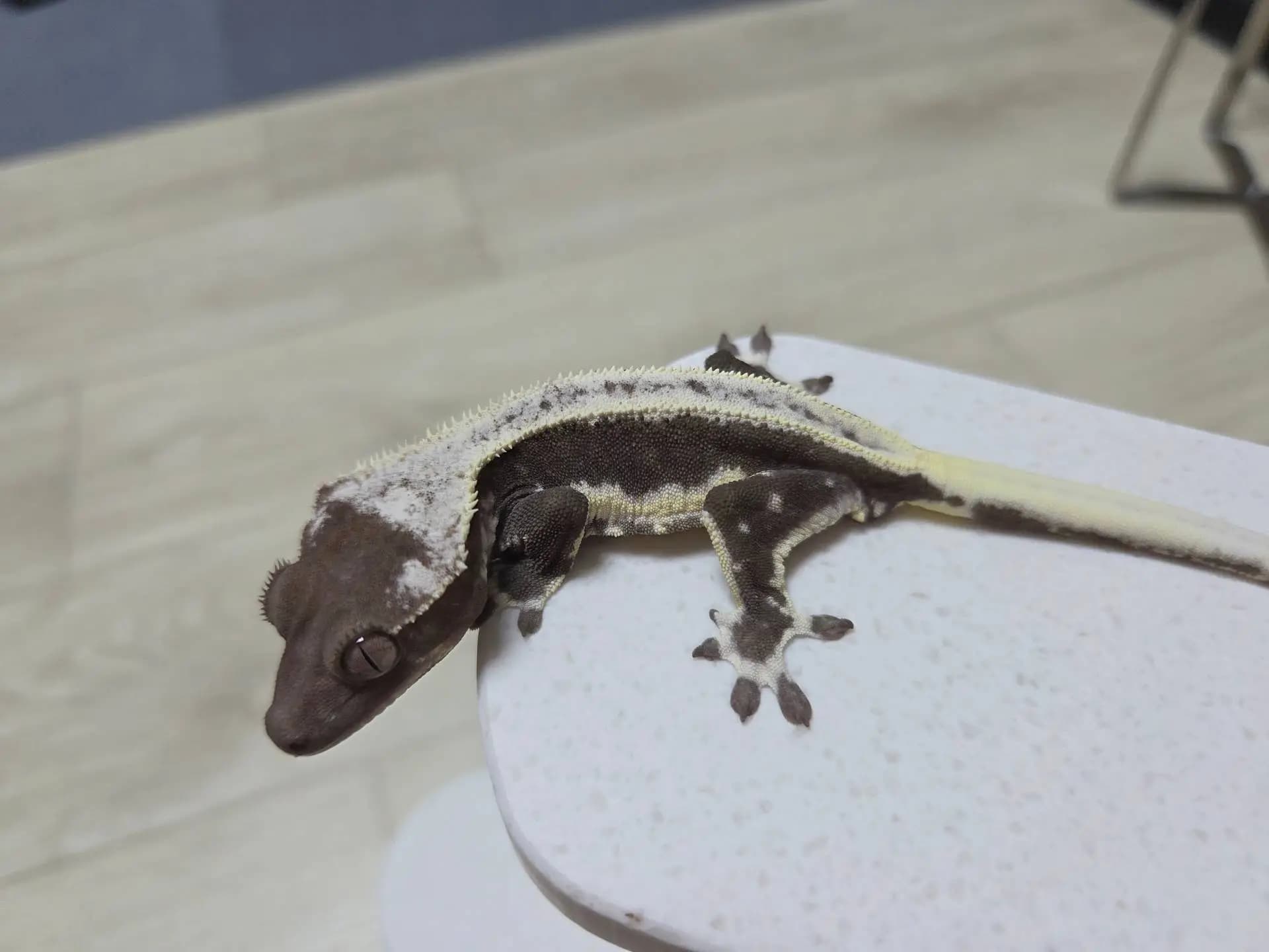 상품 이미지 3