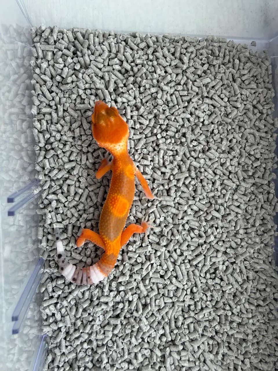 상품 이미지 2
