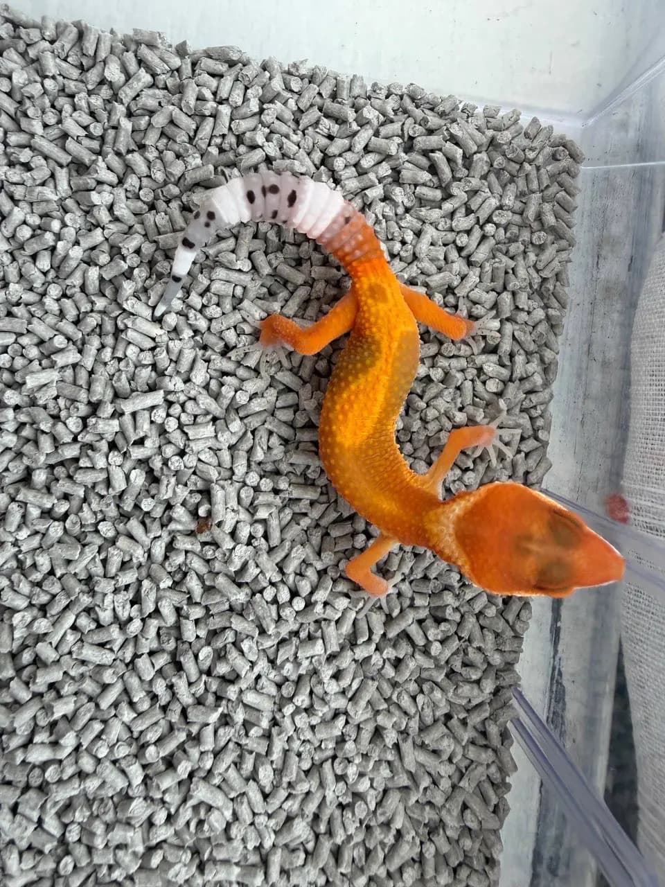 상품 이미지 2