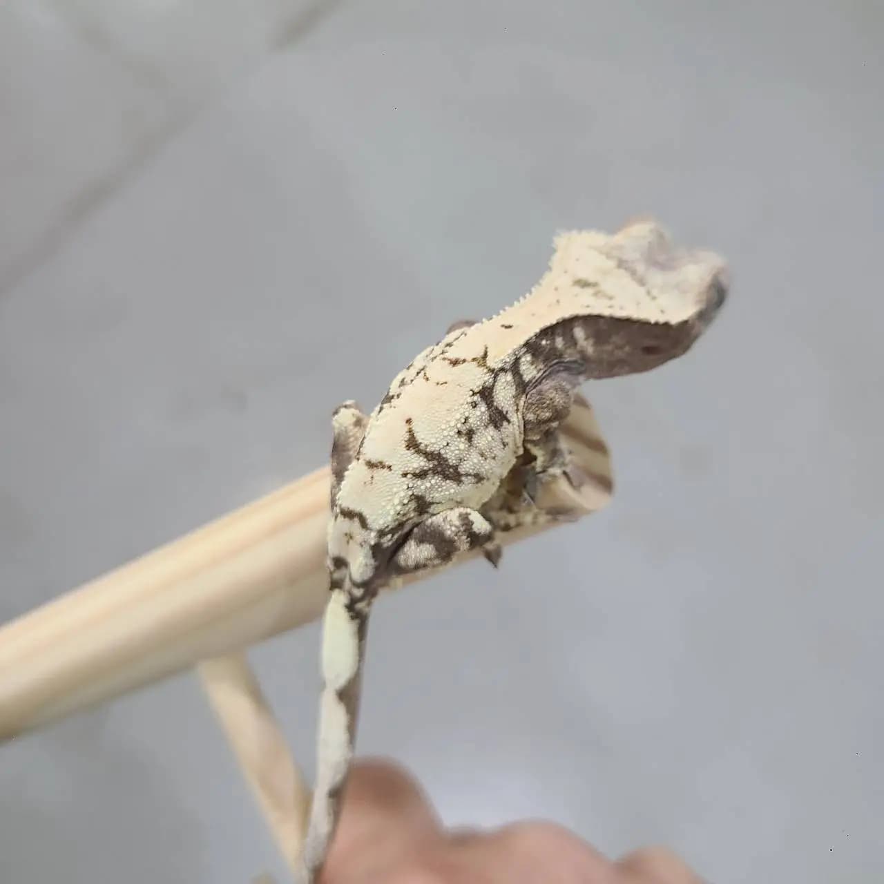 상품 이미지 1