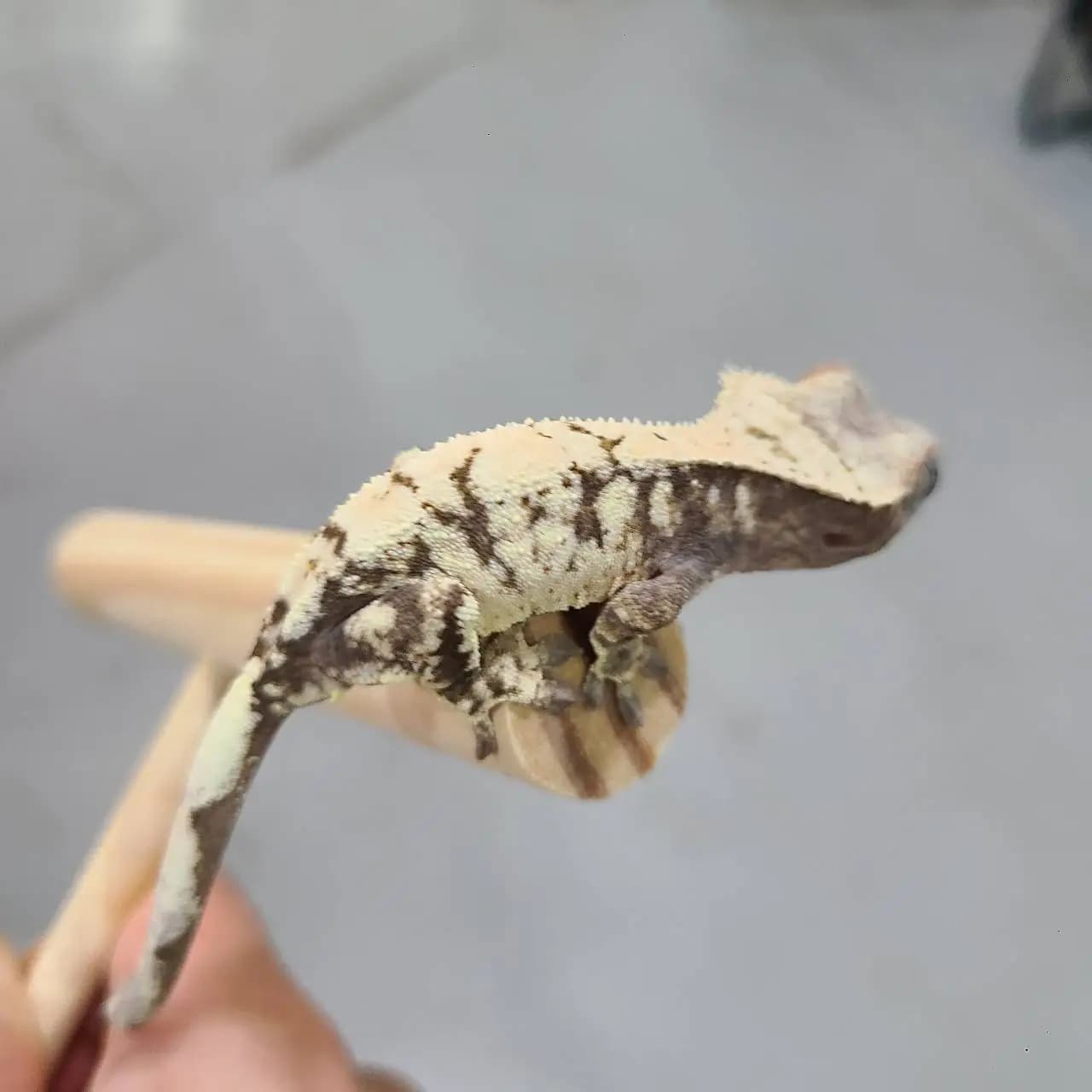상품 이미지 5