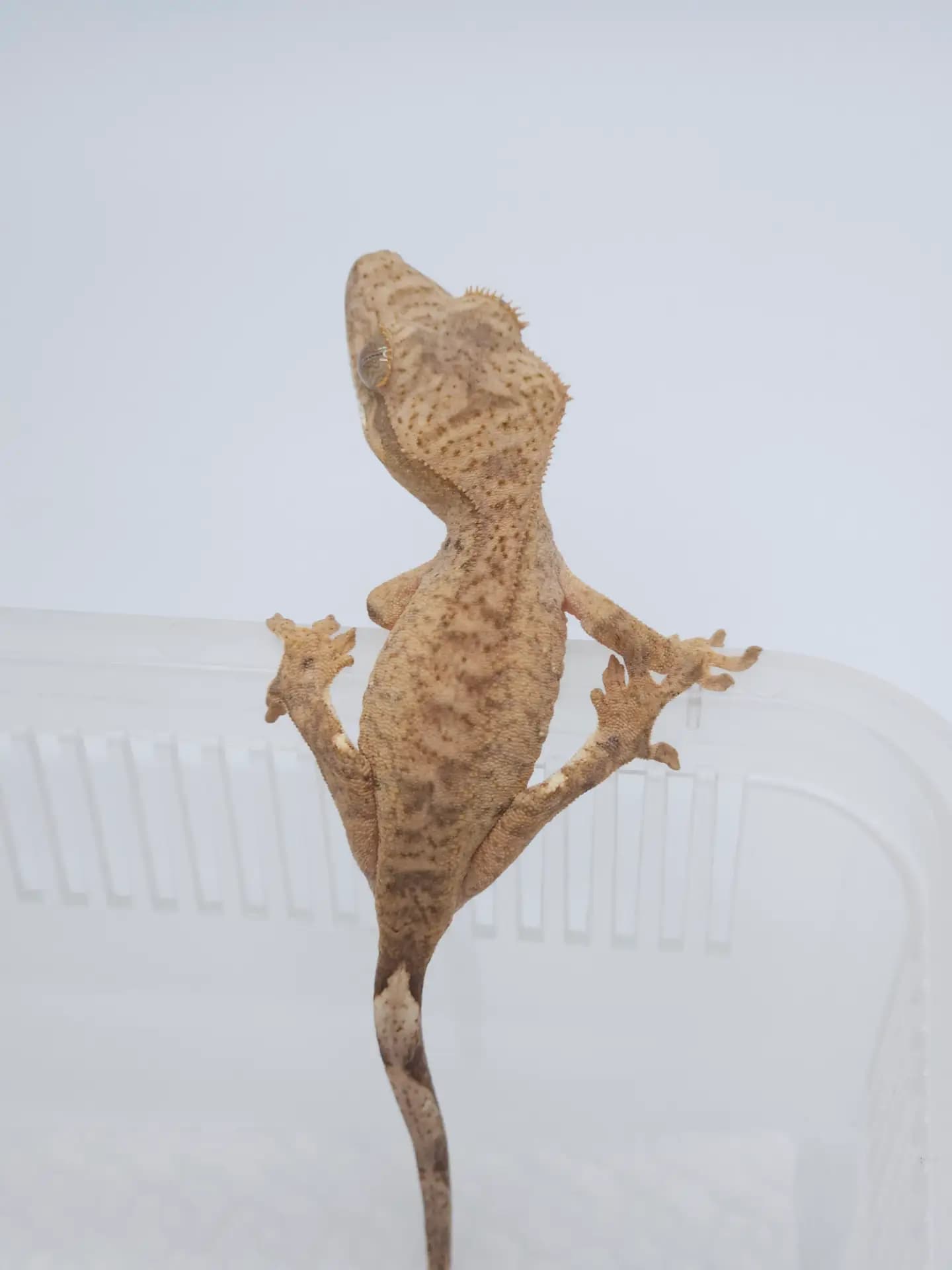 상품 이미지 3