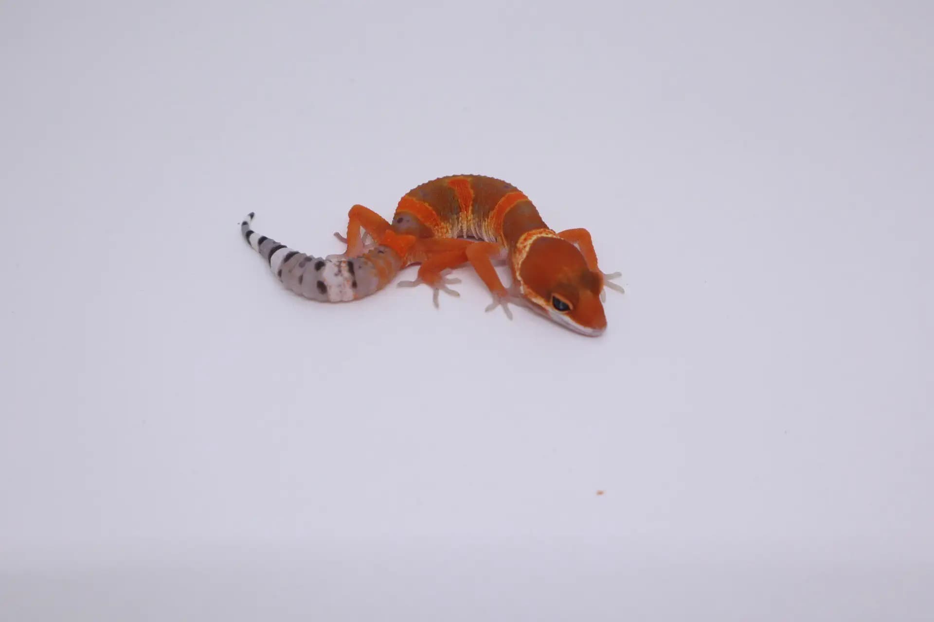 상품 이미지 3