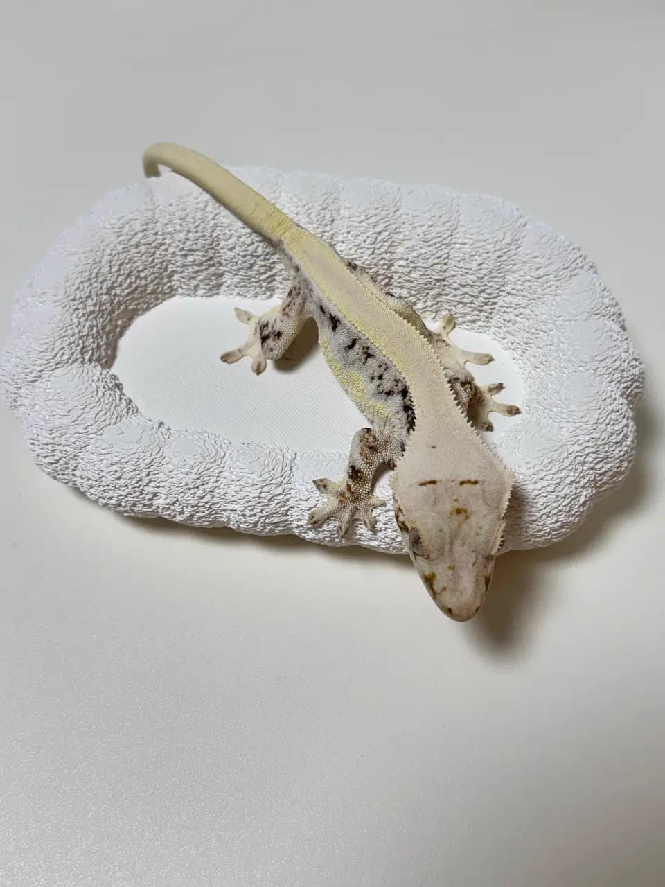 상품 이미지 3