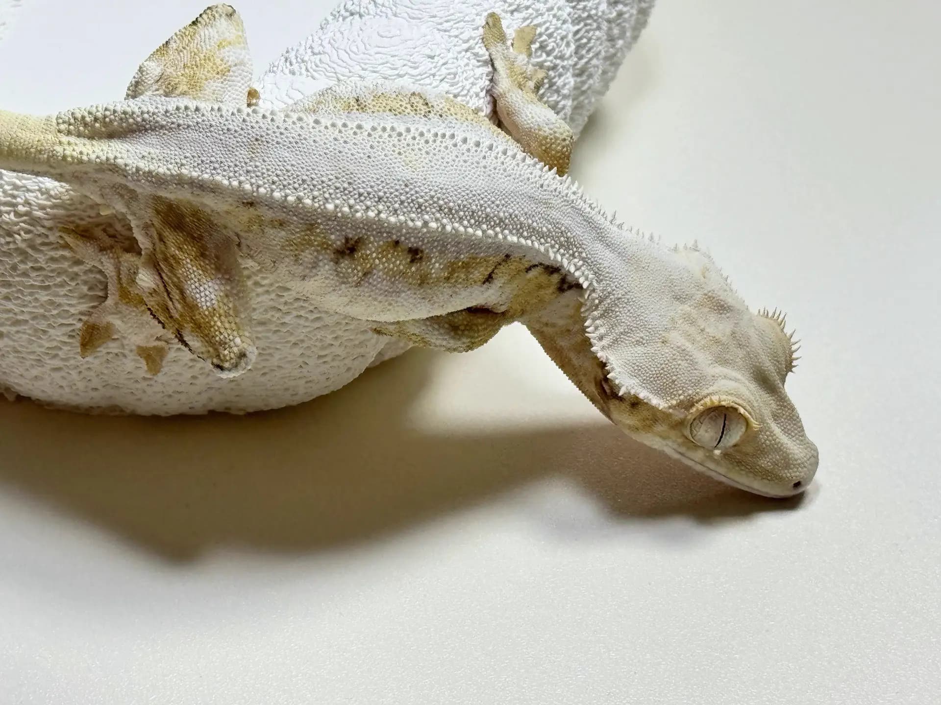 상품 이미지 1
