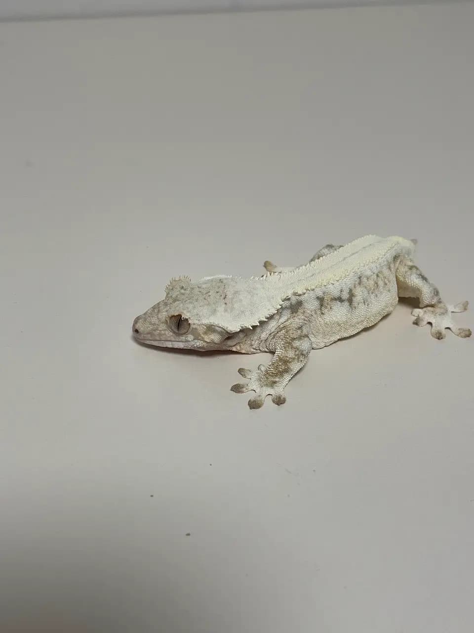상품 이미지 1