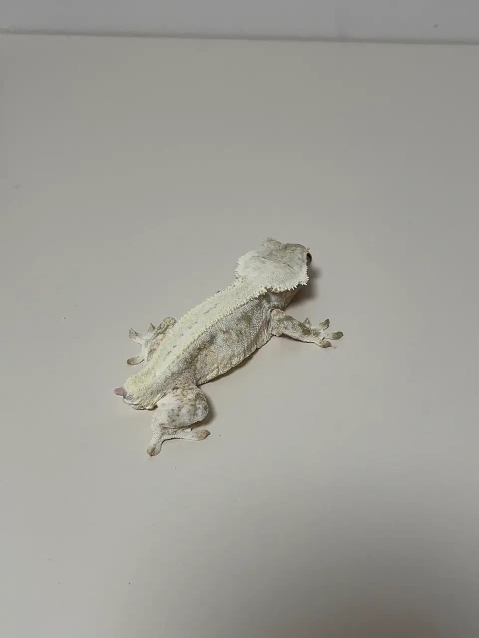 상품 이미지 3
