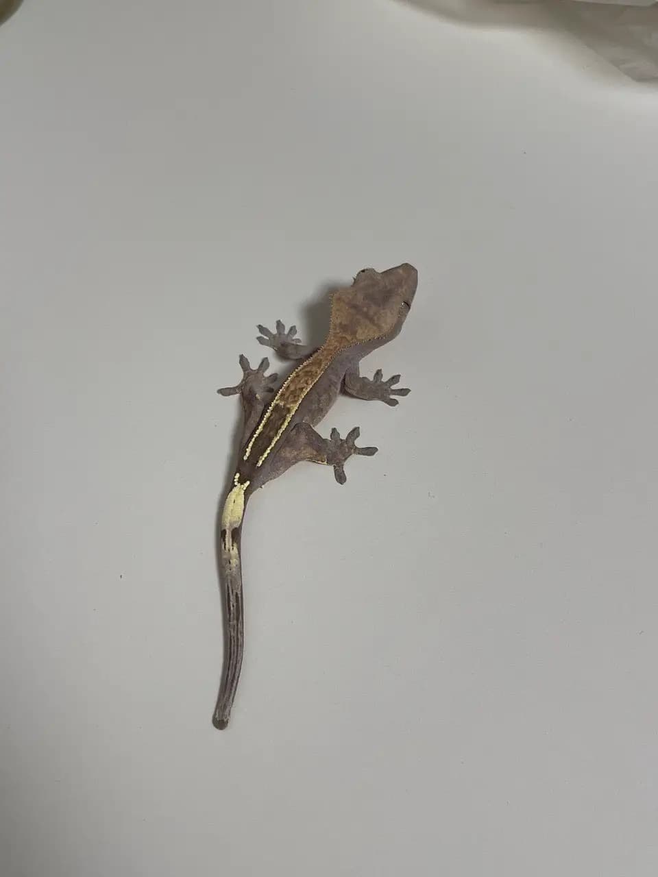 상품 이미지 3