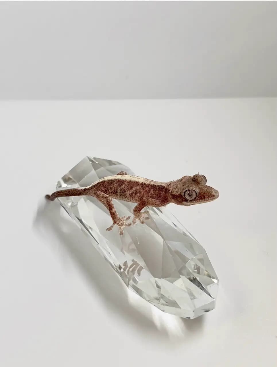 상품 이미지 2