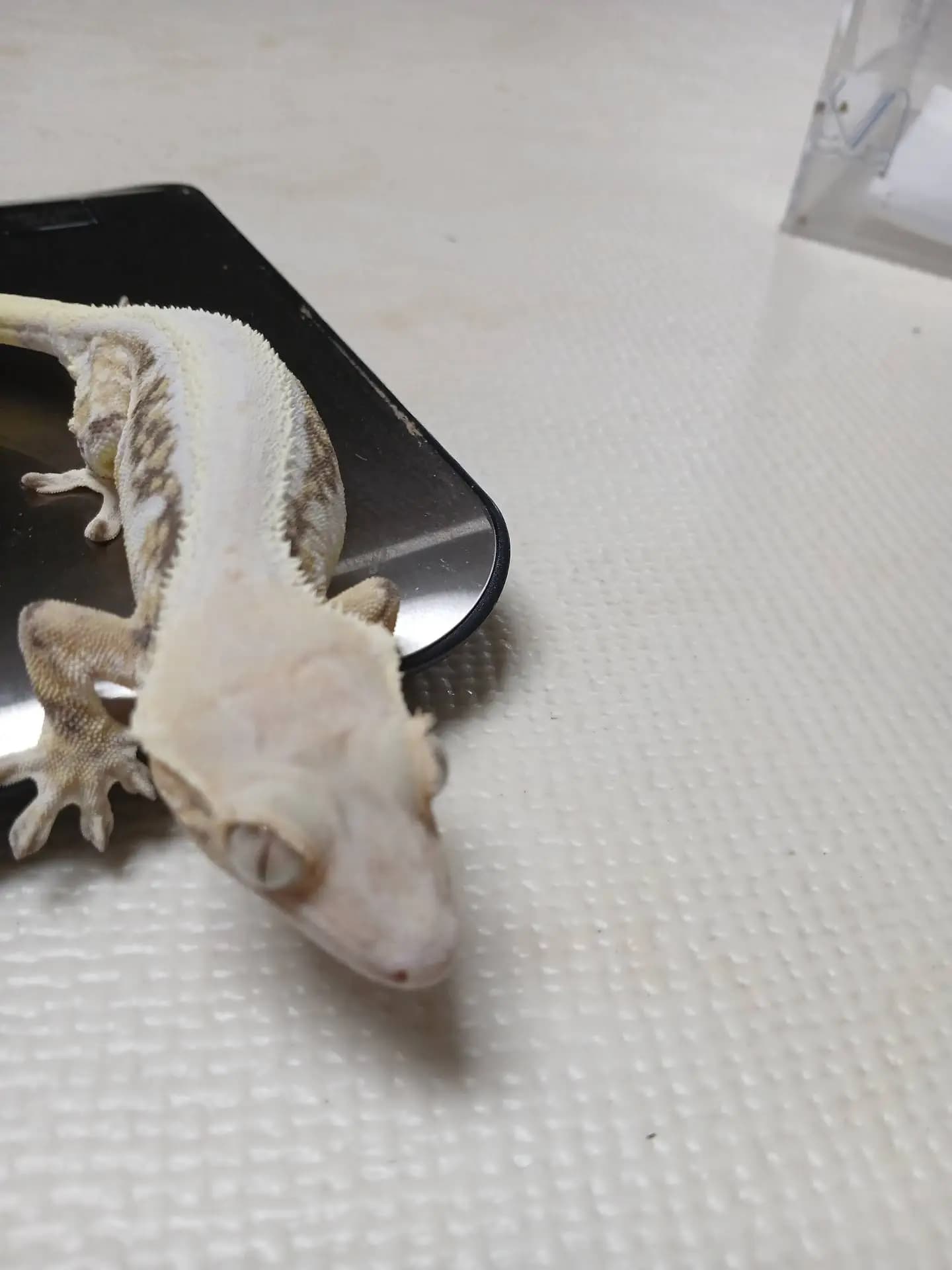 상품 이미지 1