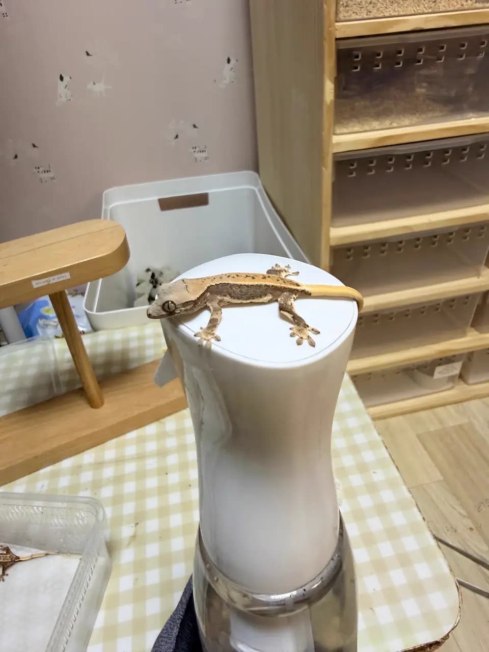 상품 이미지 1